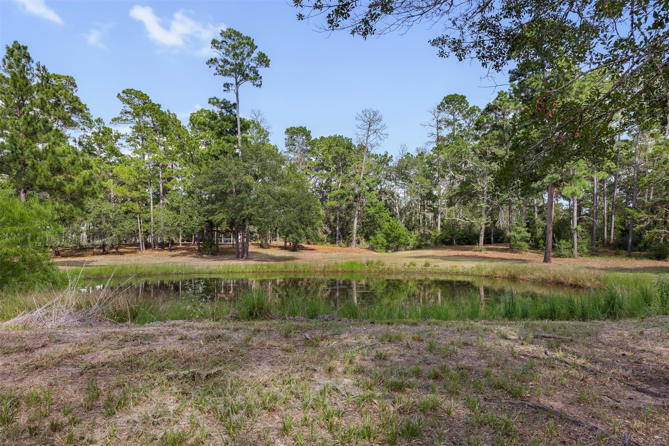 526 Piney Creek Road Property Photo 31
