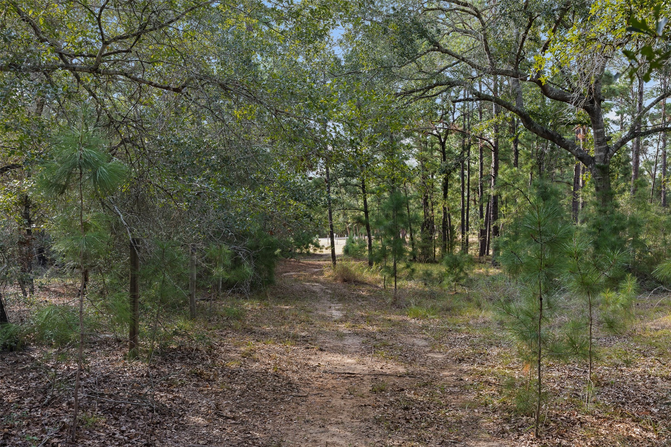 526 Piney Creek Road Property Photo 32