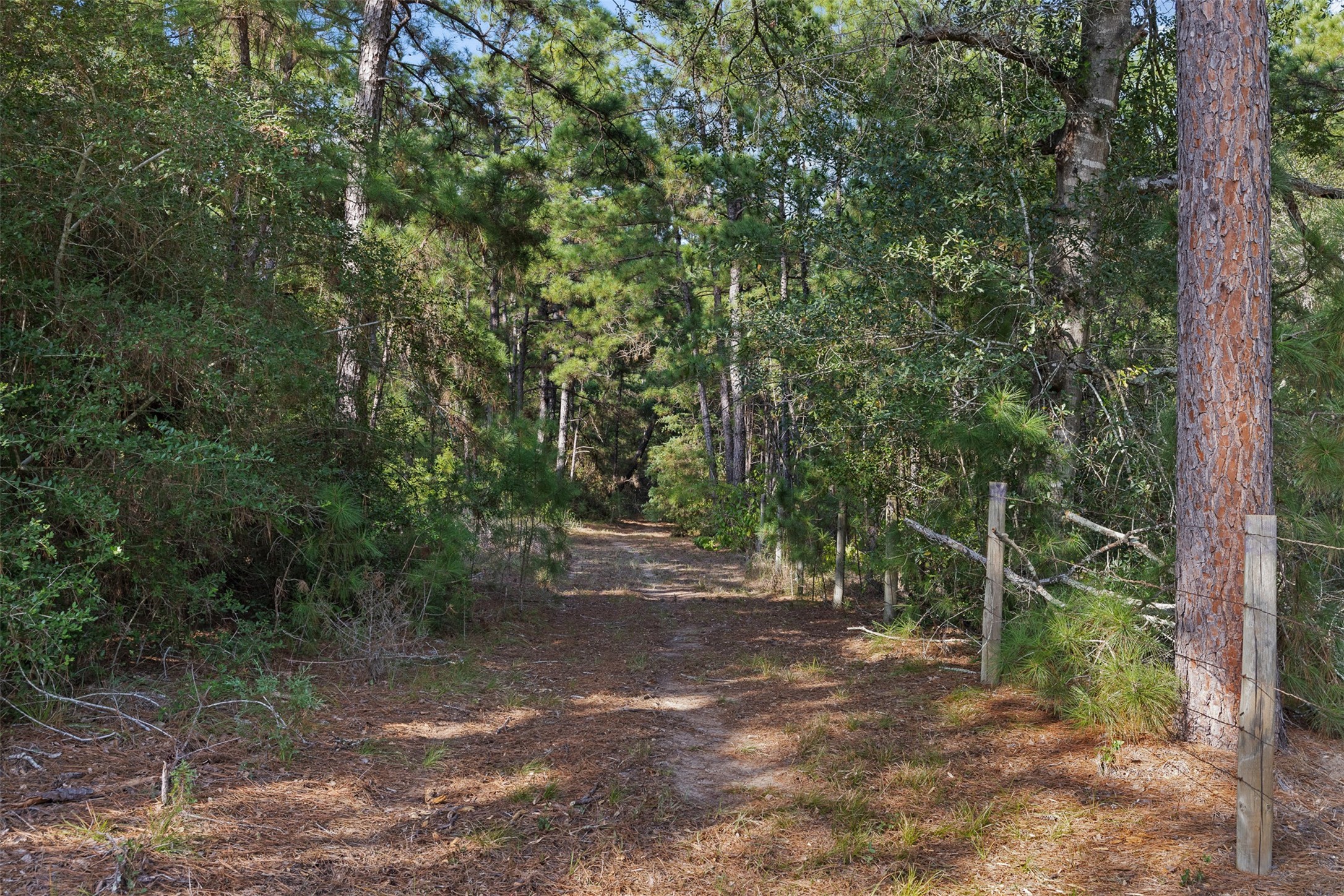 526 Piney Creek Road Property Photo 34