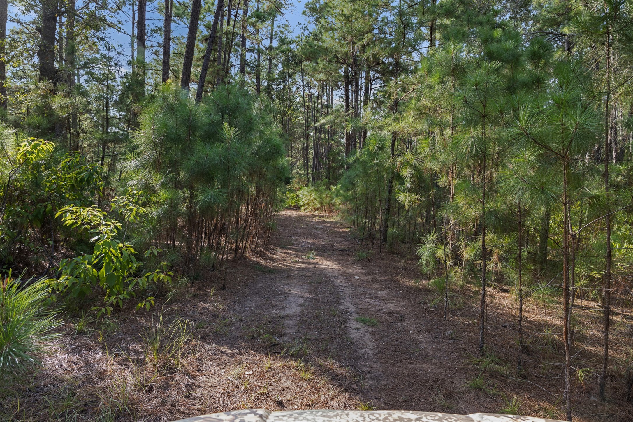 526 Piney Creek Road Property Photo 35