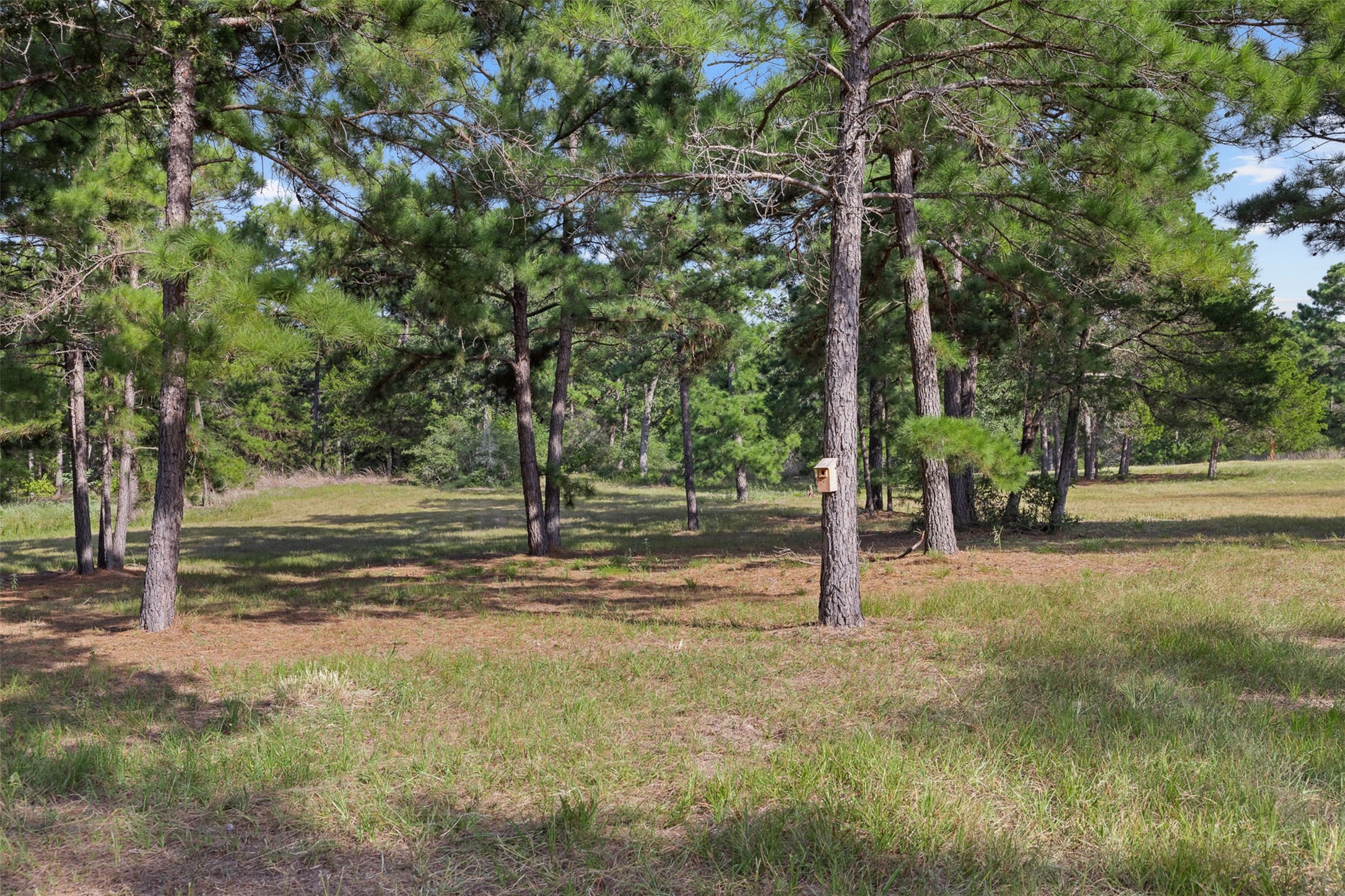 526 Piney Creek Road Property Photo 36