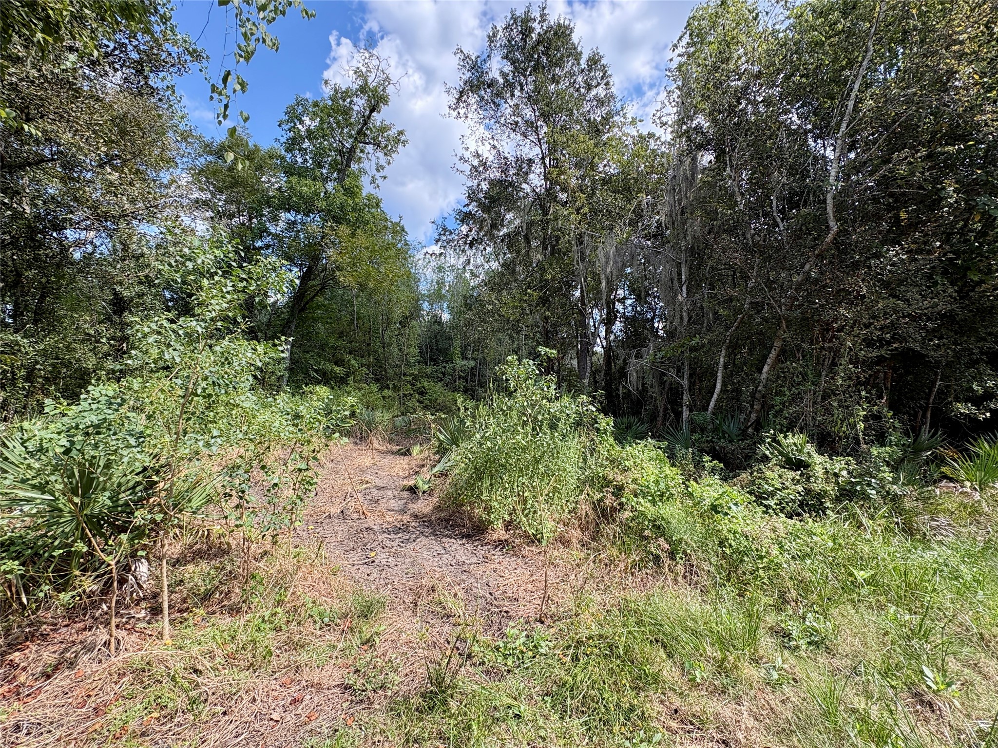 0 Cr-409 Property Photo 4