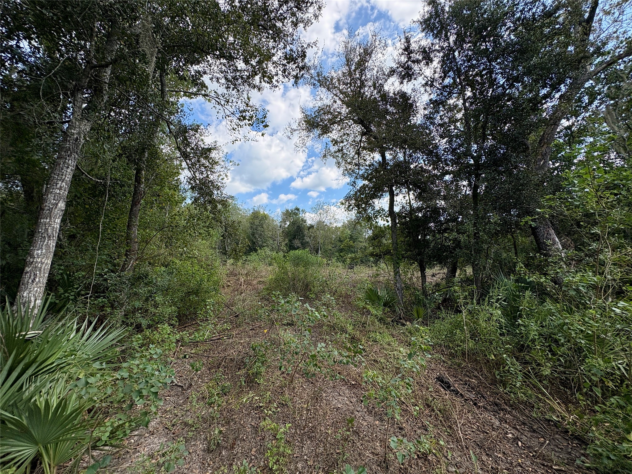0 Cr-409 Property Photo 5