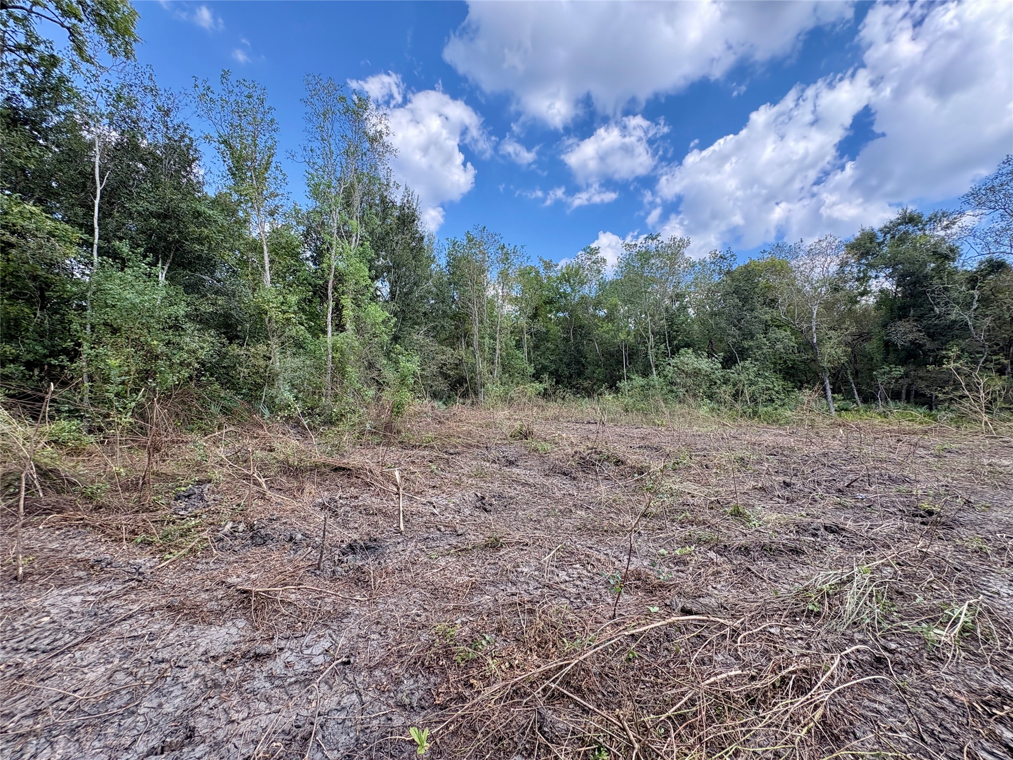 0 Cr-409 Property Photo 6