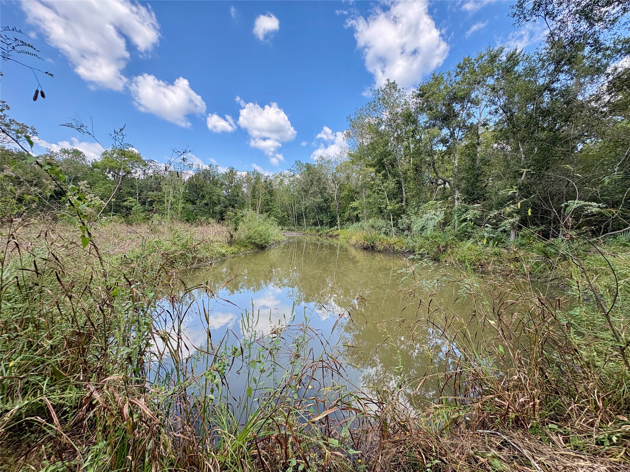 0 Cr-409 Property Photo 7