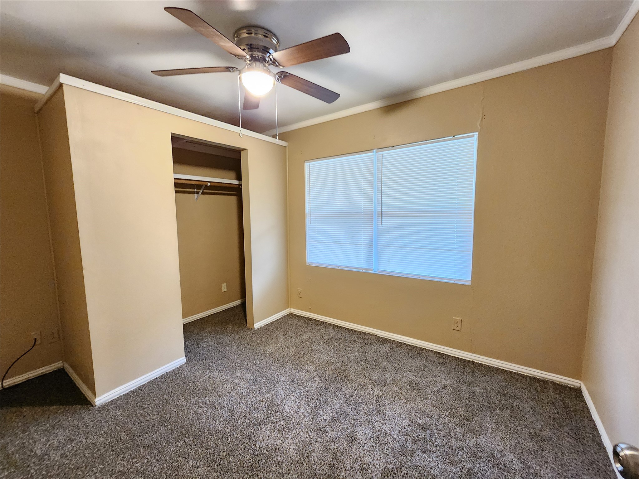 36 18th Avenue N Property Photo 22
