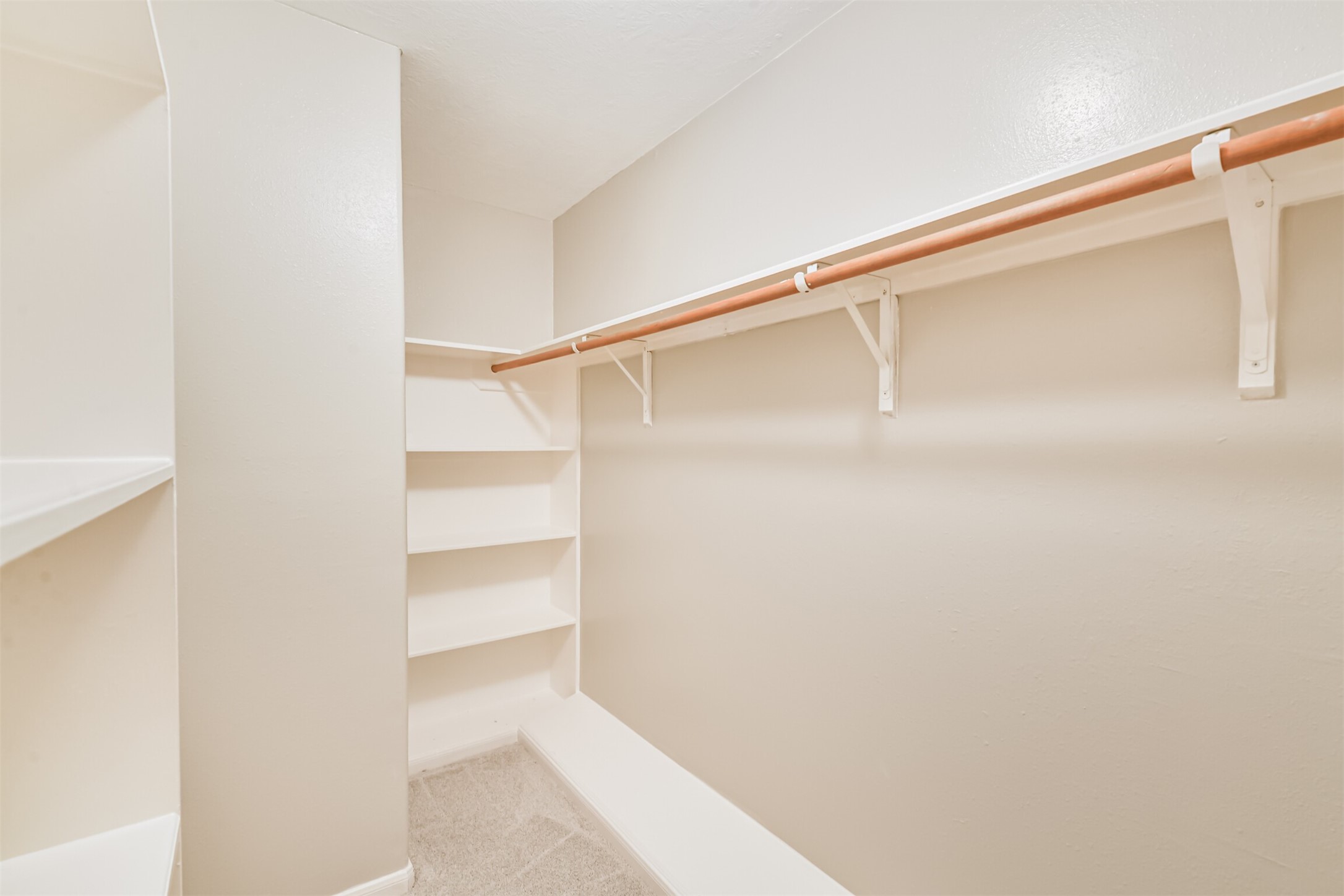 8331 Loetsch Ridge Way Property Photo 21