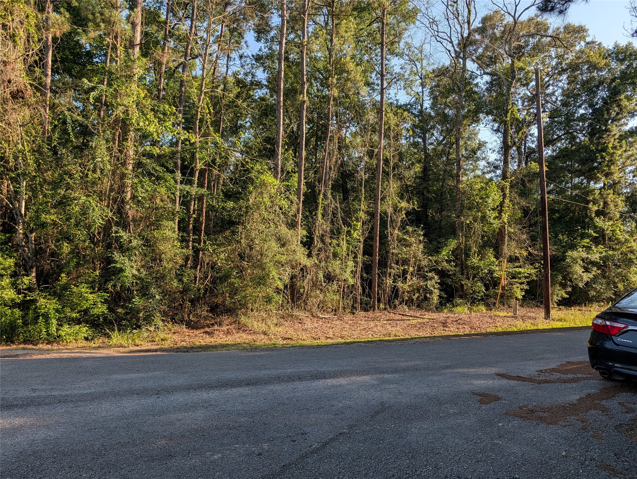 Tbd Moss Circle Property Photo 2