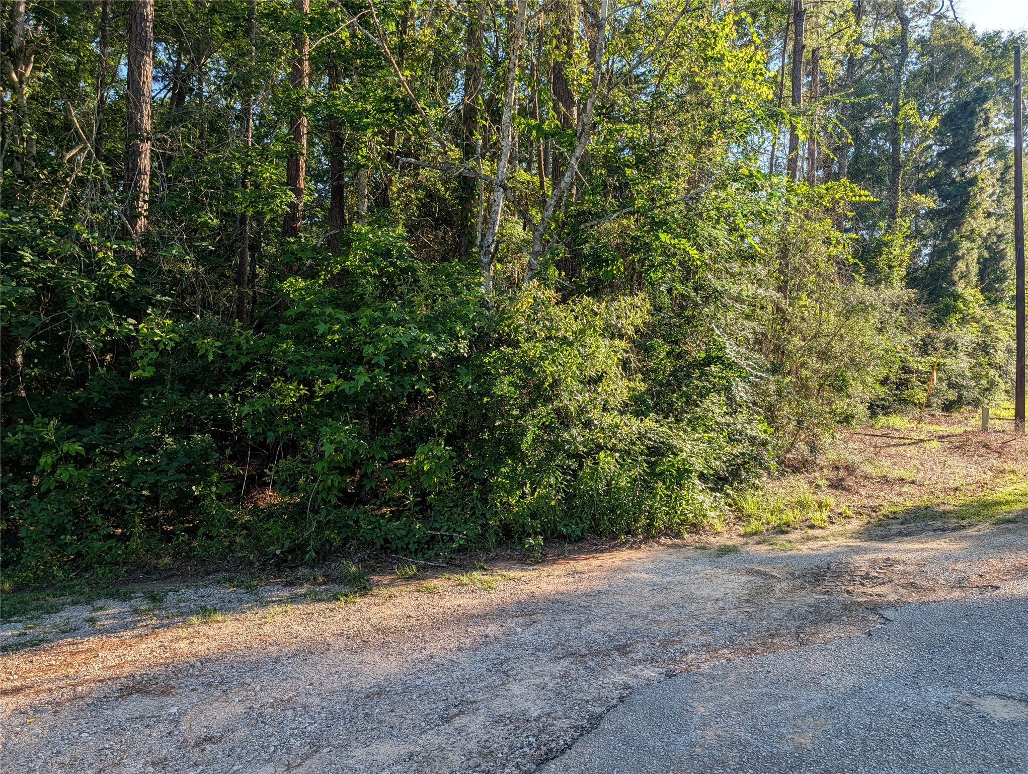 Tbd Moss Circle Property Photo 4