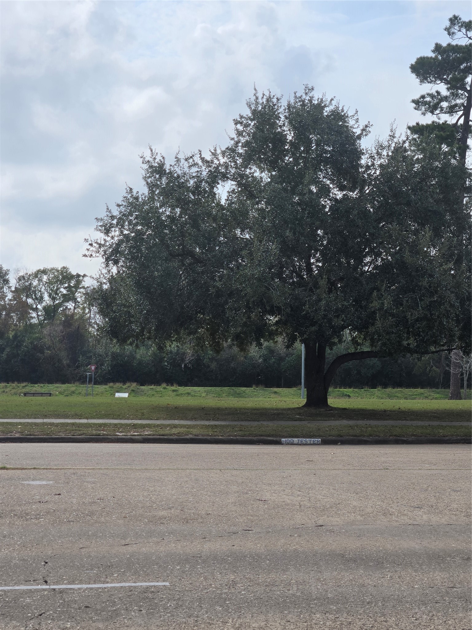 1134 Wynnwood Lane Property Photo 3