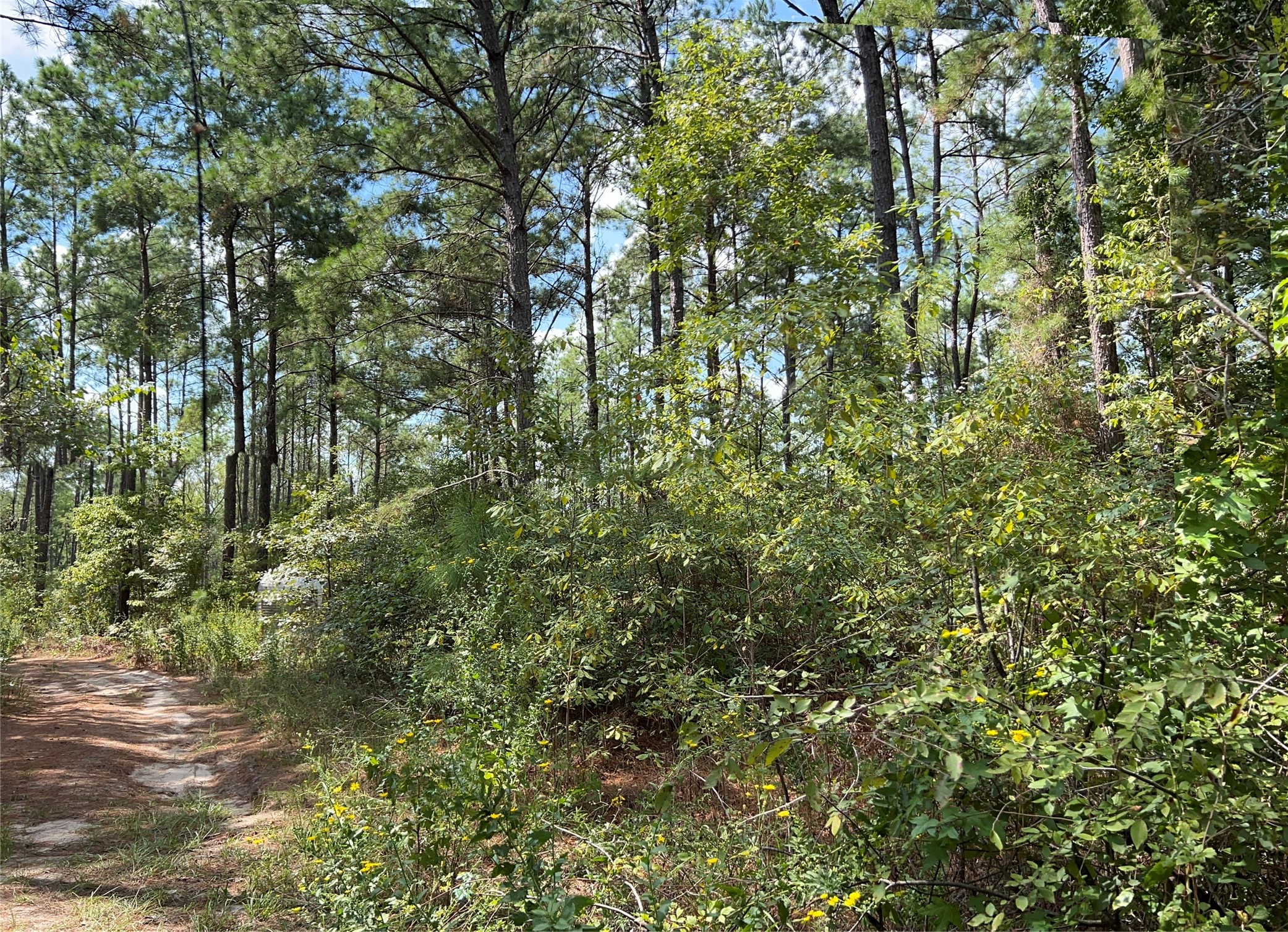 07 Fm 247 Property Photo 8