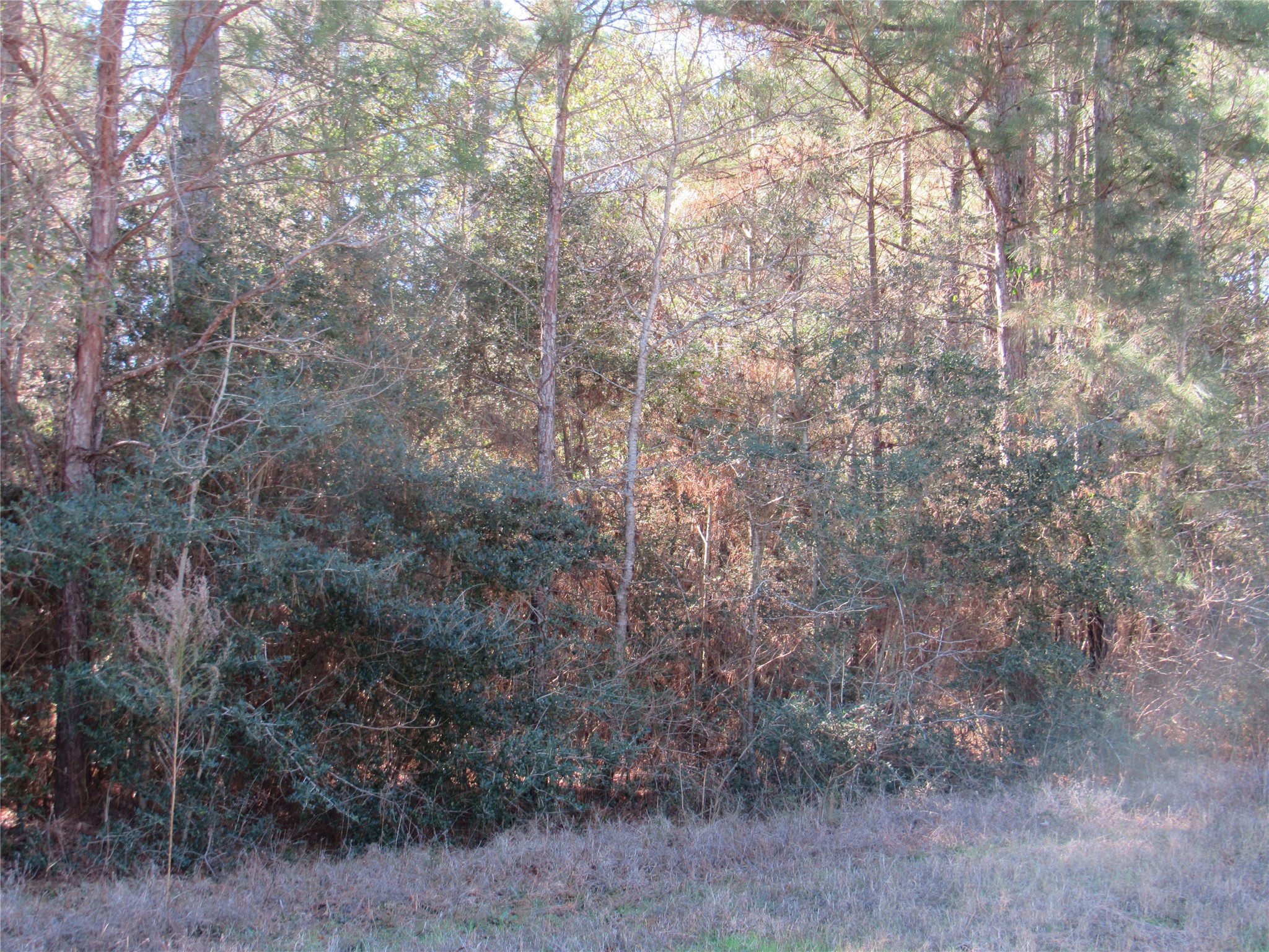 Tbd Winchester Road Property Photo 4