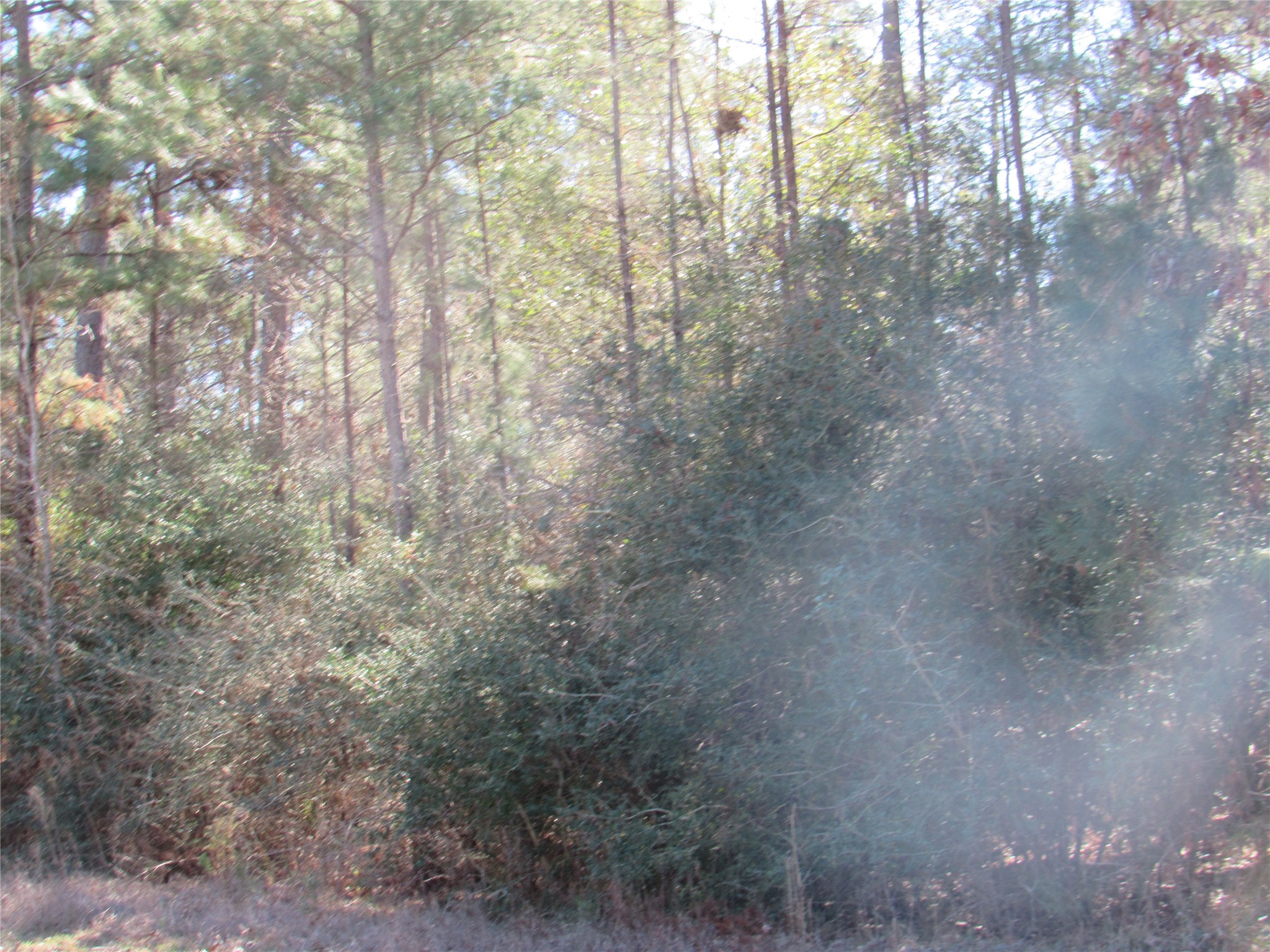 Tbd Winchester Road Property Photo 5