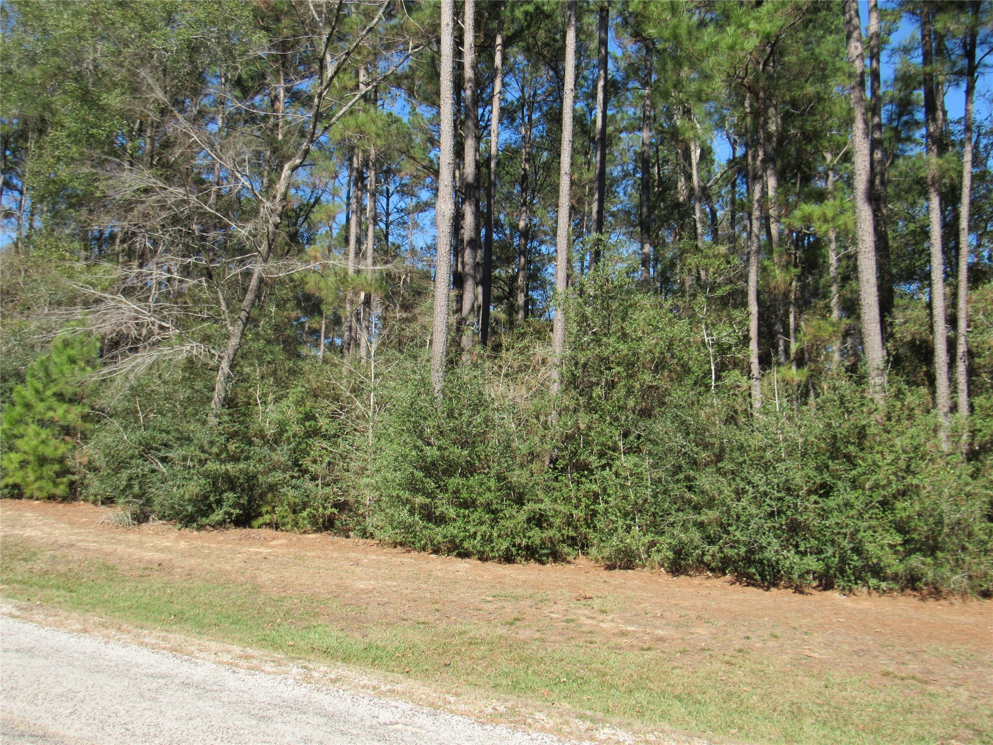 Tbd Winchester Road Property Photo 6