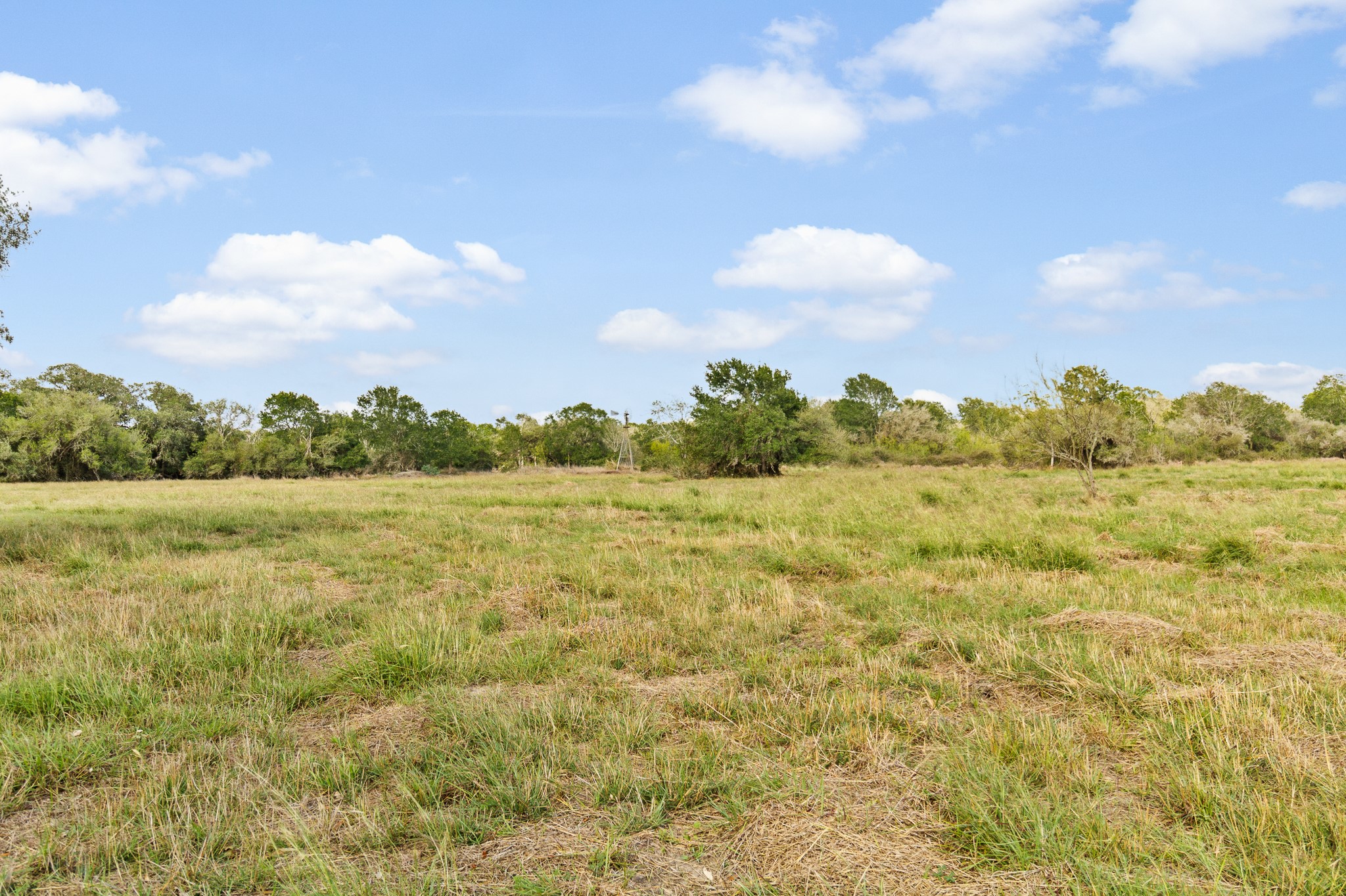 Tract 5 Fm 530 Property Photo 4