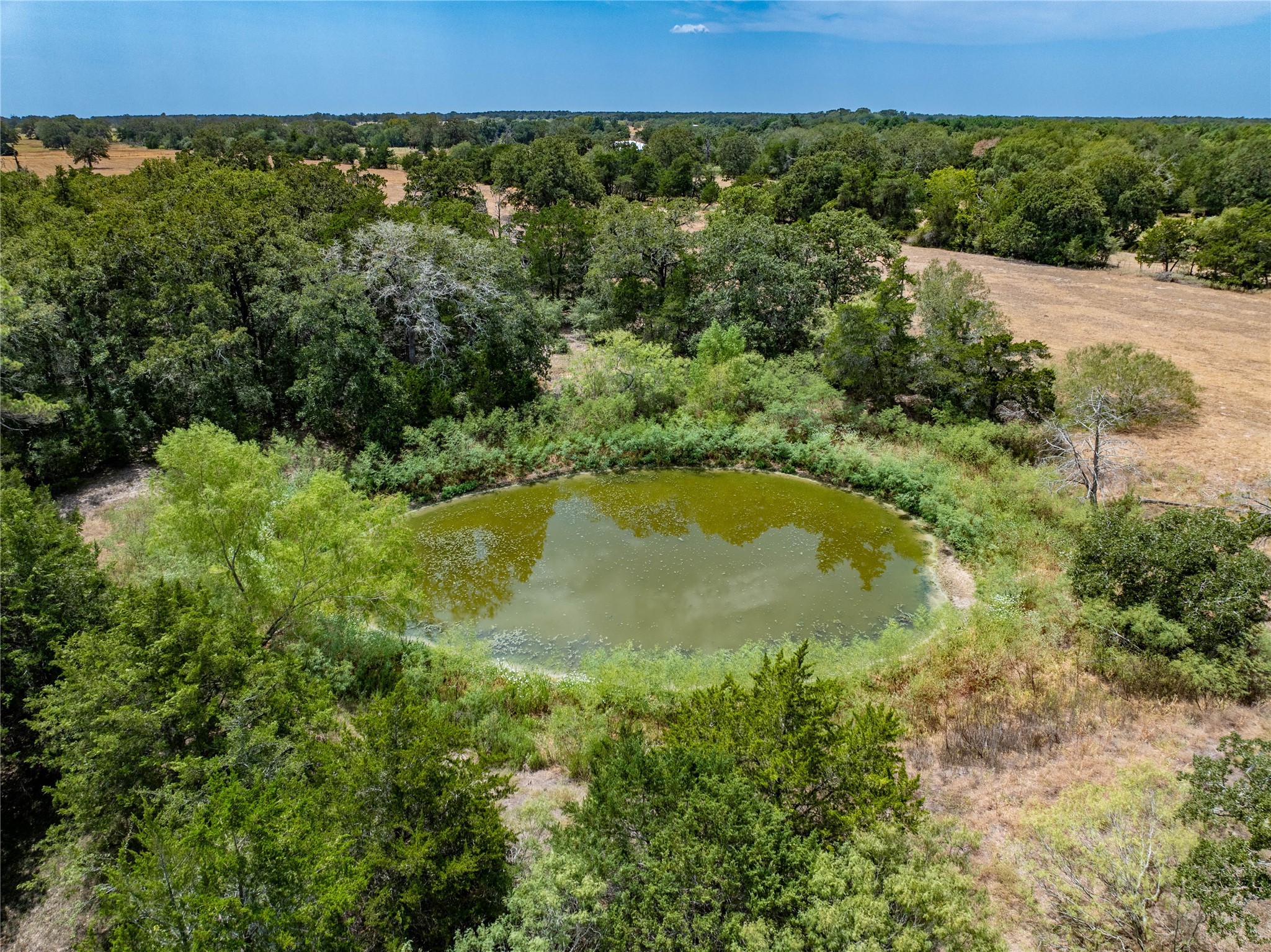 1046 Tx-71 Property Photo 2