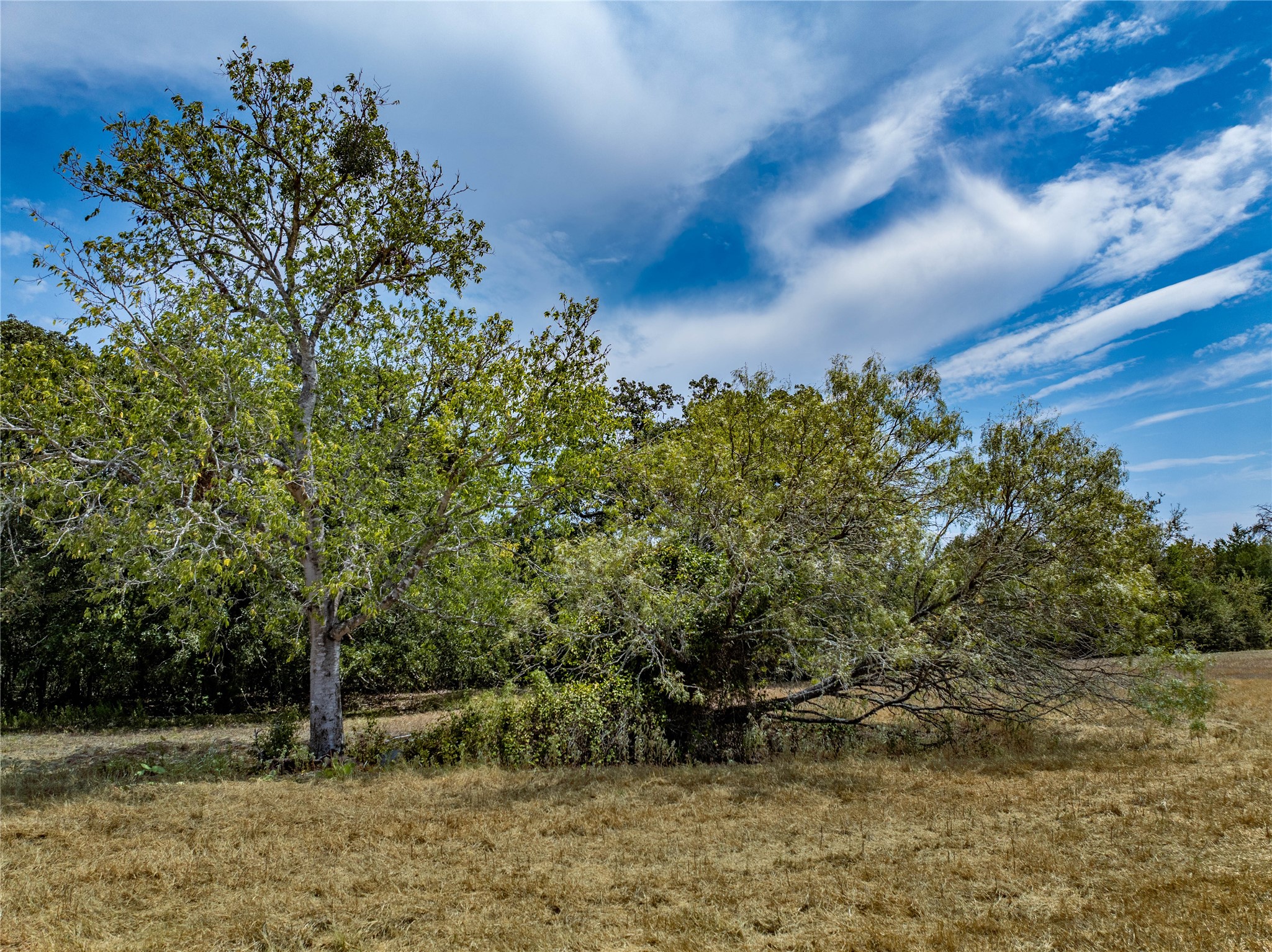 1046 Tx-71 Property Photo 4