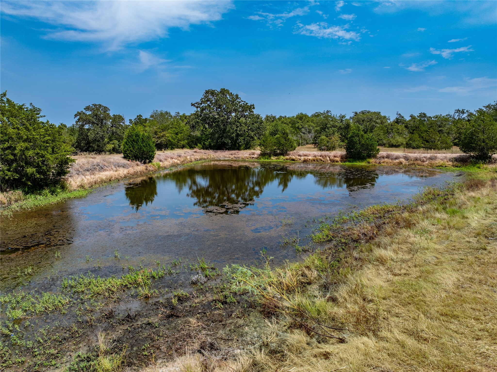 1046 Tx-71 Property Photo 6