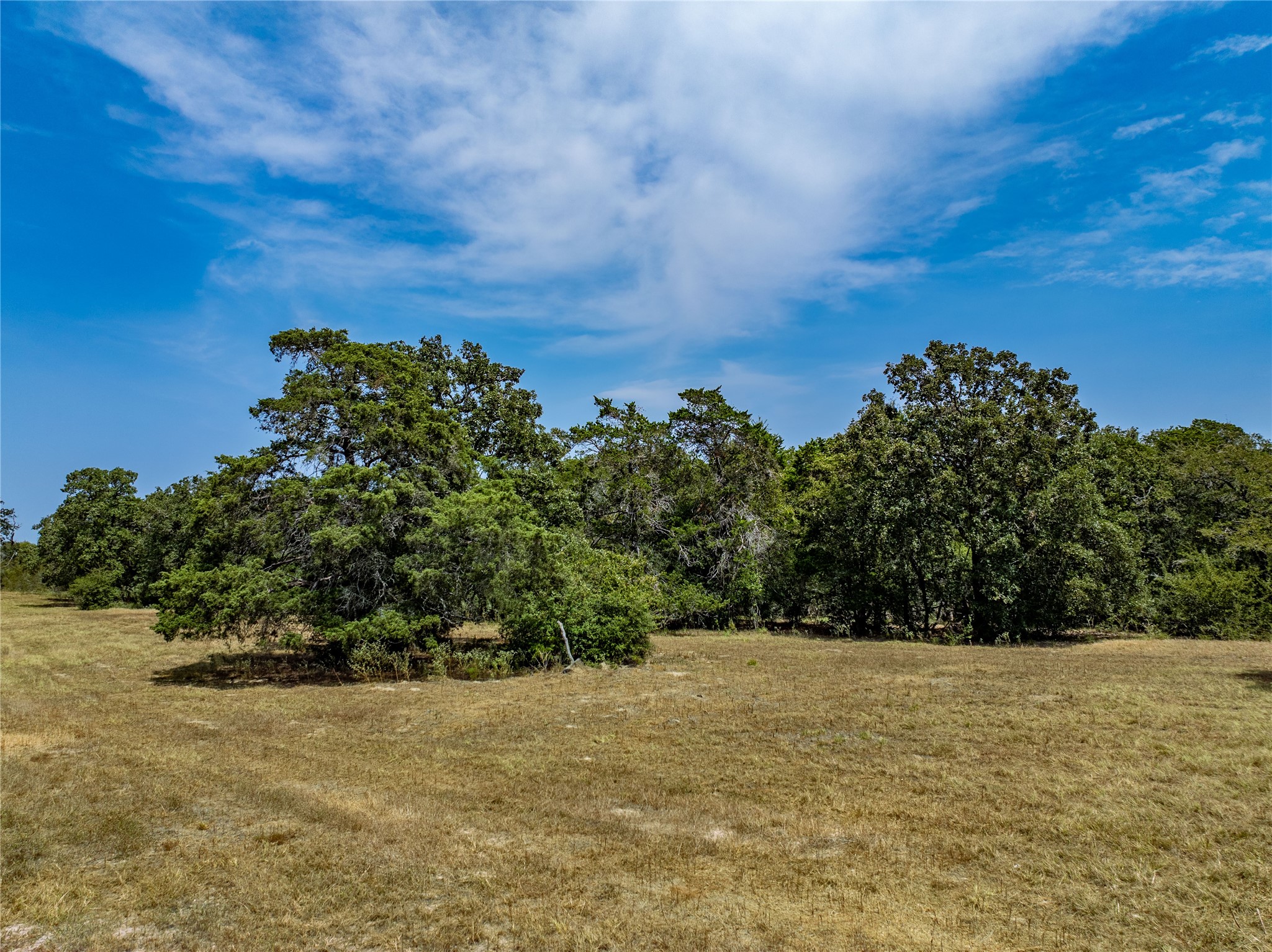 1046 Tx-71 Property Photo 10