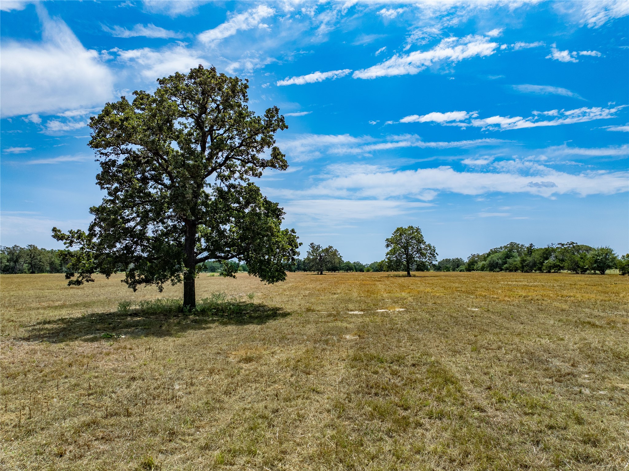 1046 Tx-71 Property Photo 11
