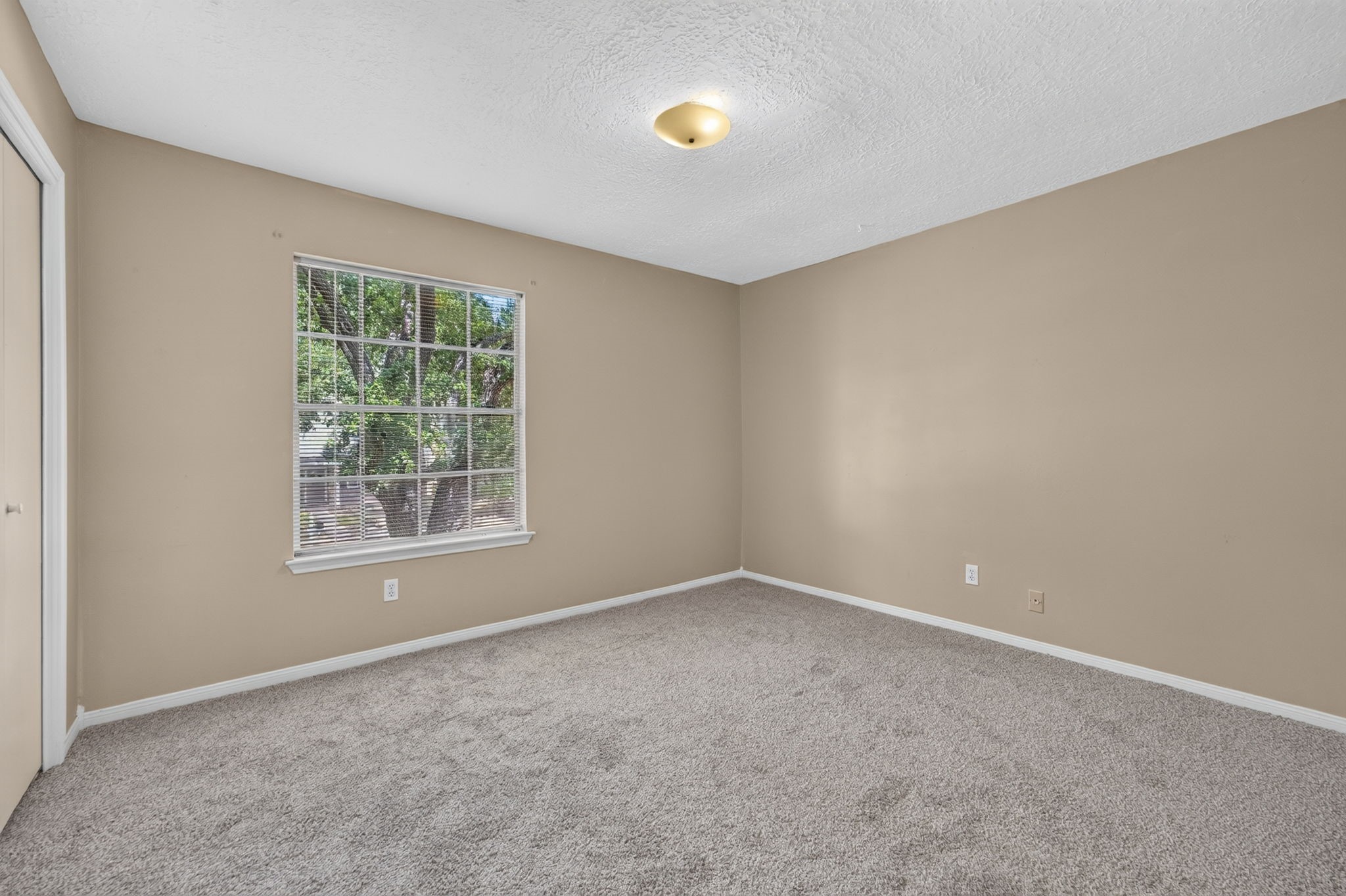 7063 Windy Pines Drive Property Photo 13