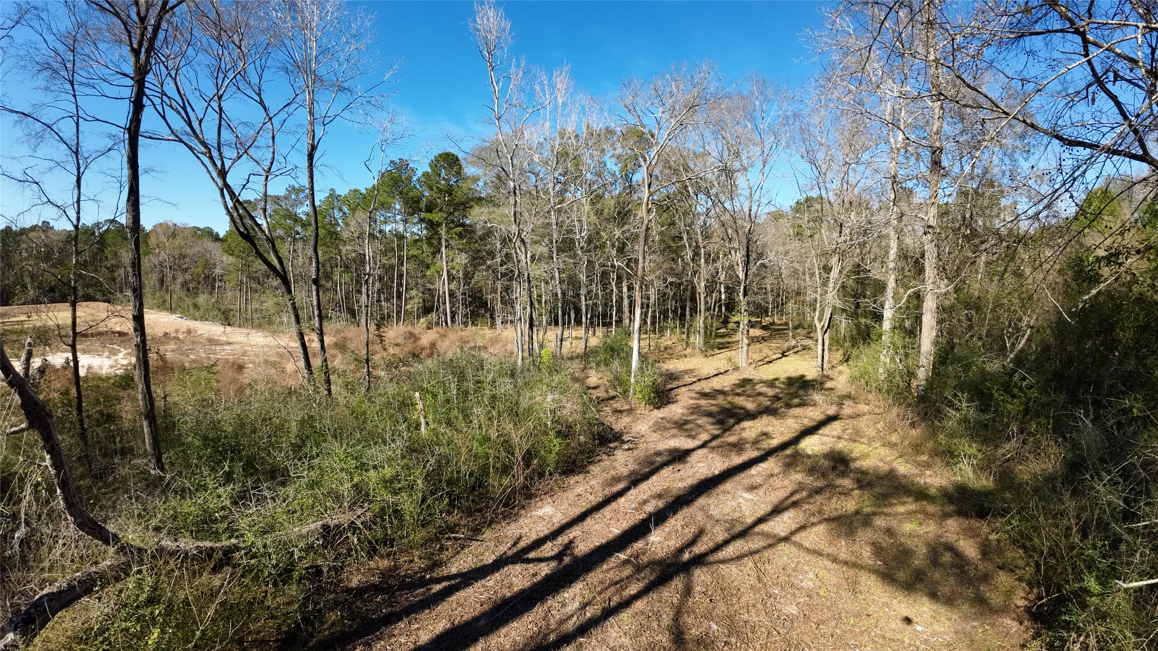 9367 Fm 149 Road Property Photo 3