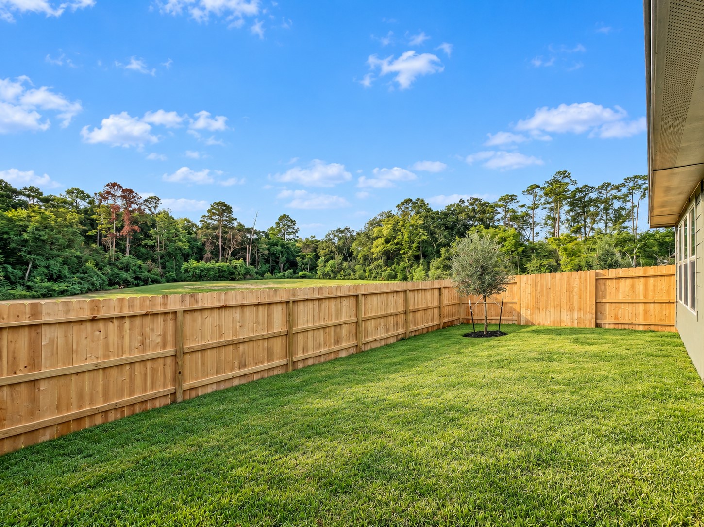 395 Sunrise Ranch Drive Property Photo 4