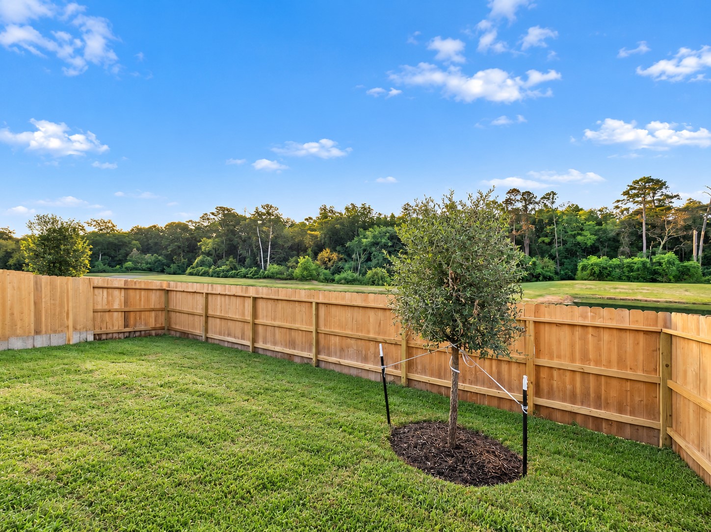 395 Sunrise Ranch Drive Property Photo 22