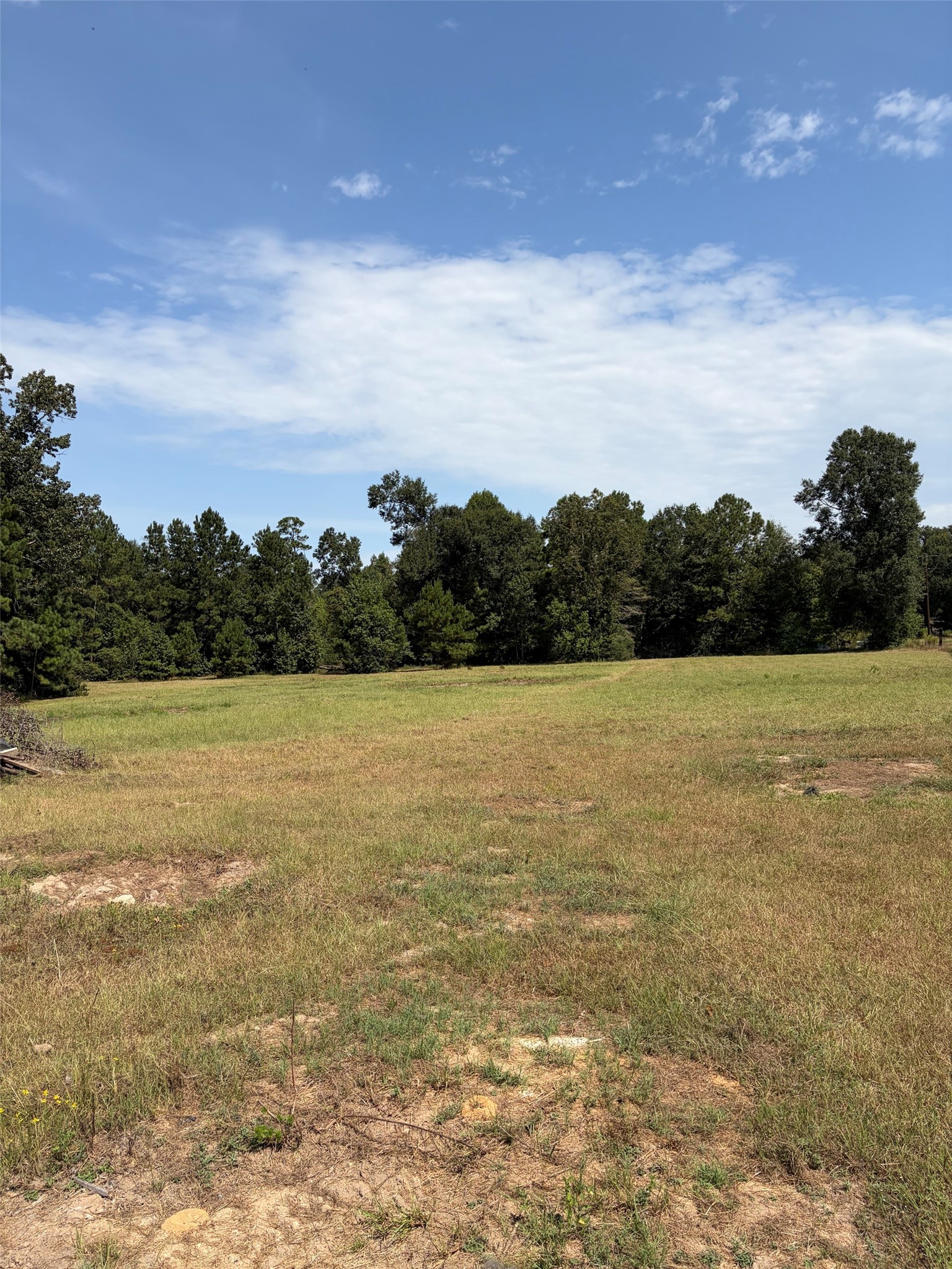 20405 Red Oak Drive Property Photo 10