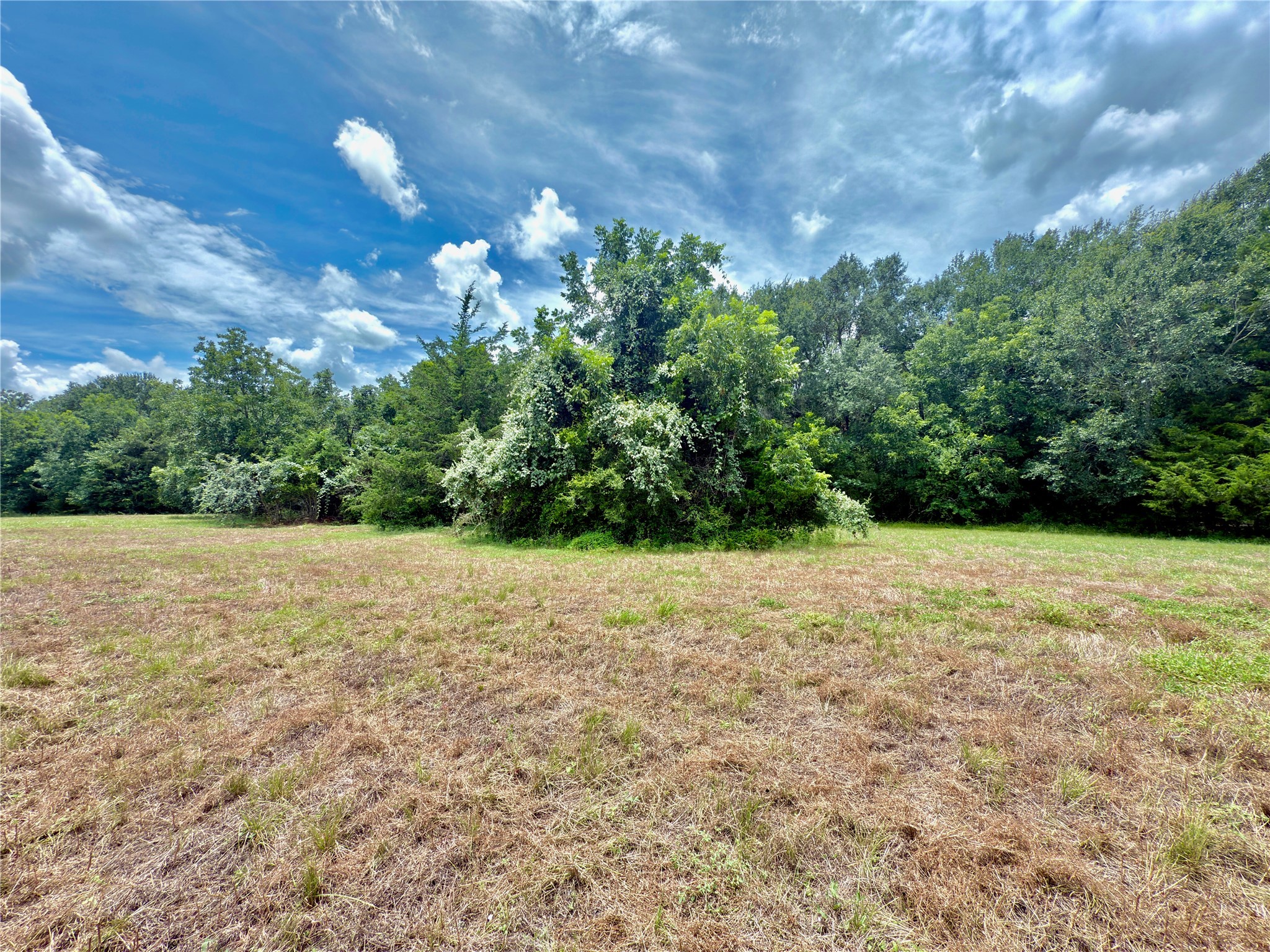 Tbd Flewellen Road Property Photo 12