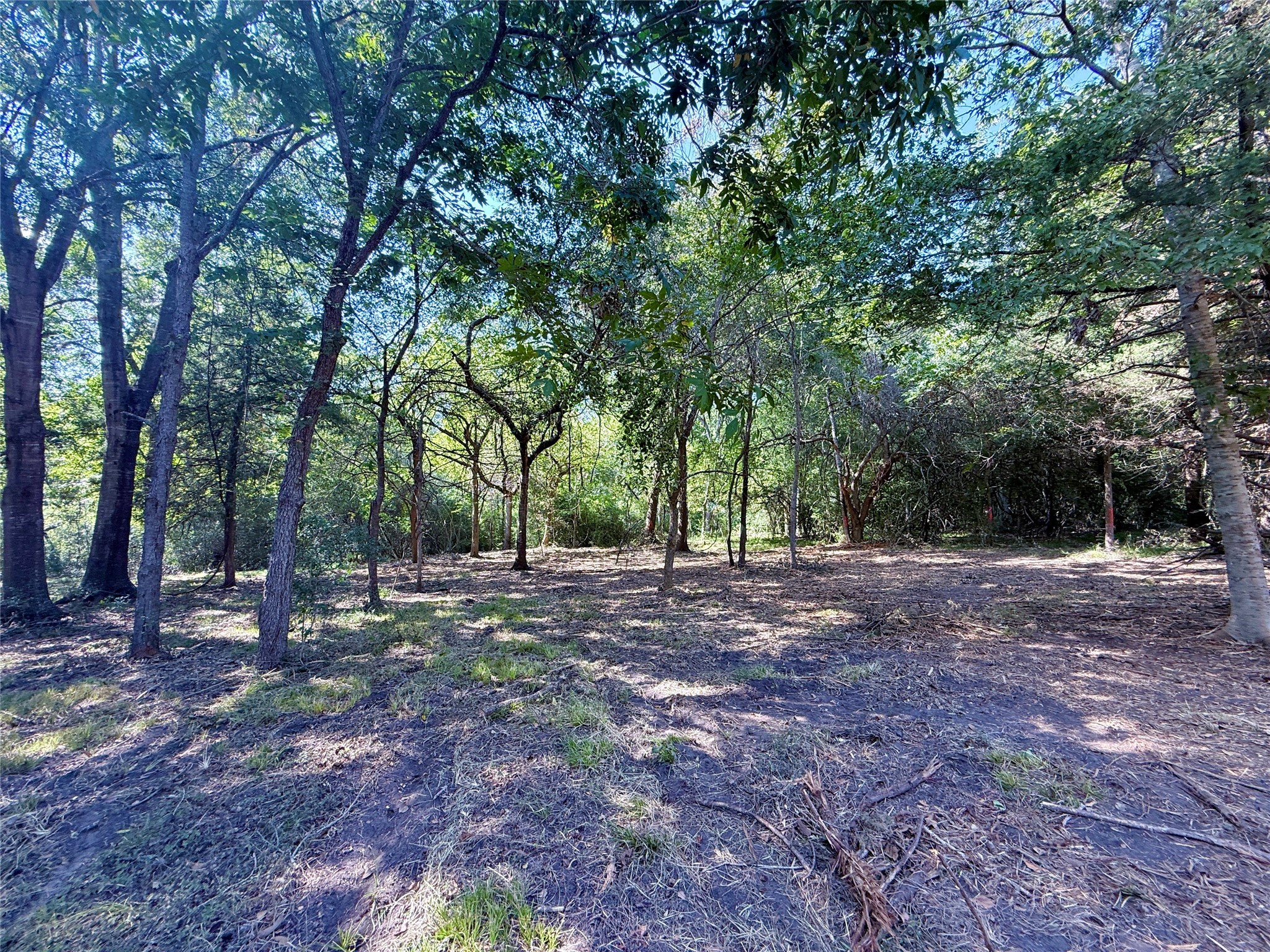 Tbd Flewellen Road Property Photo 13