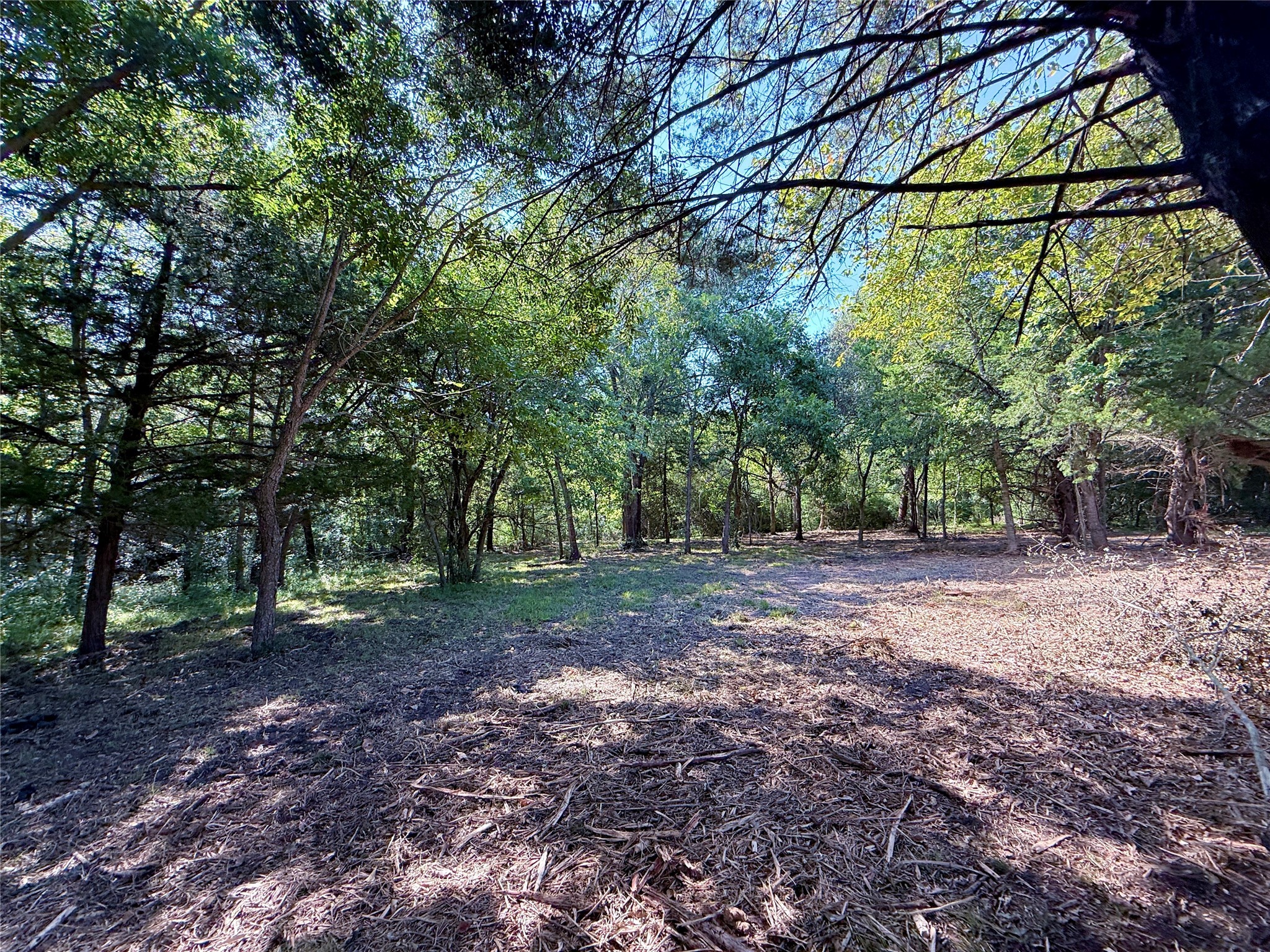 Tbd Flewellen Road Property Photo 15