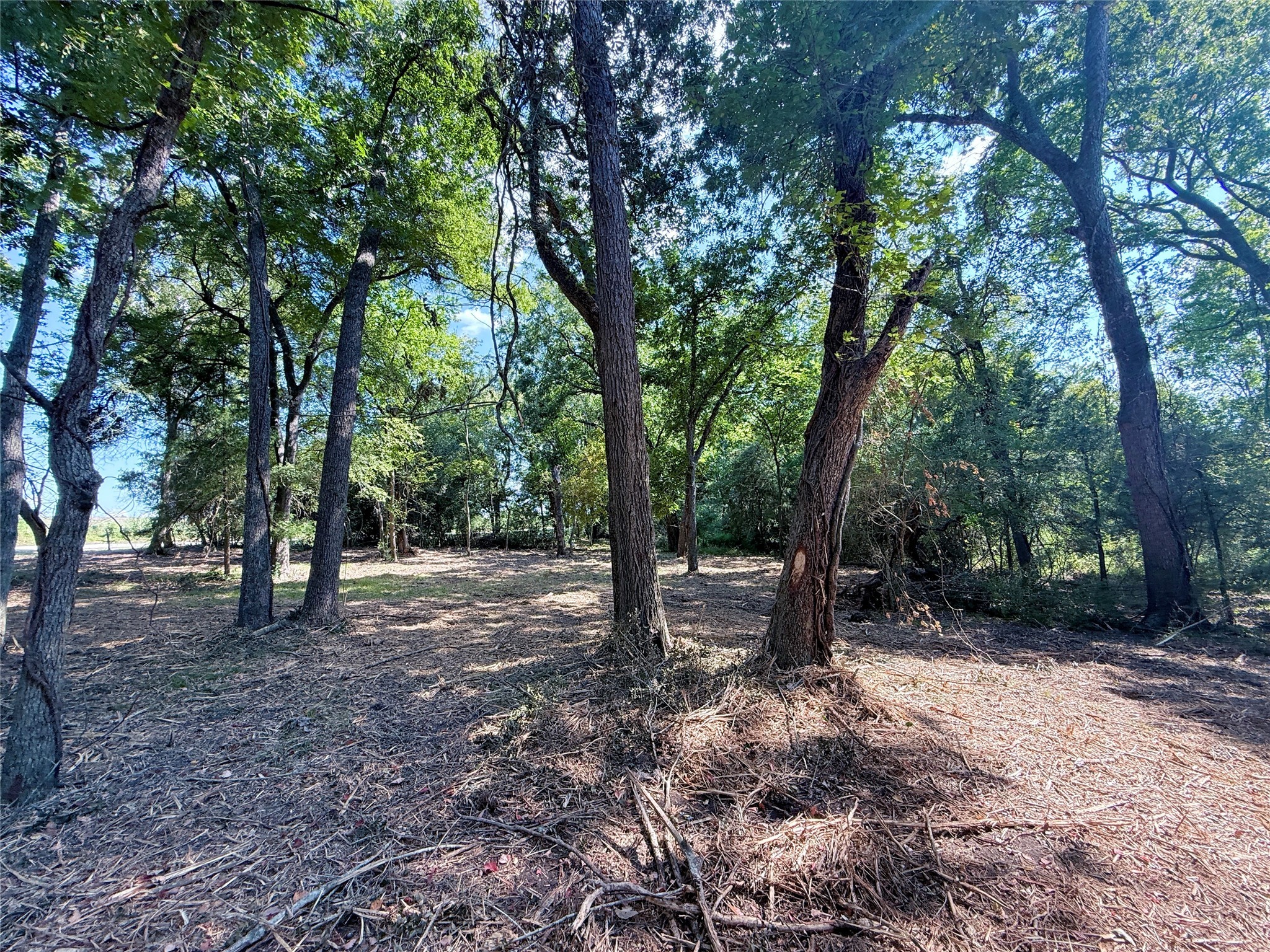 Tbd Flewellen Road Property Photo 16