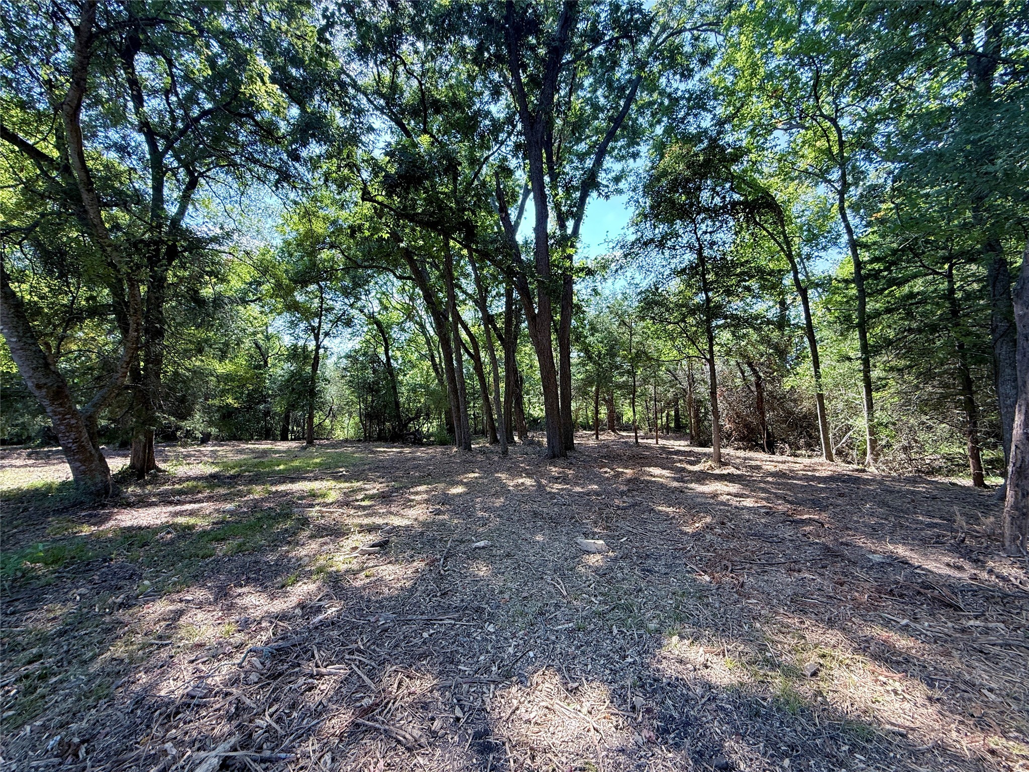 Tbd Flewellen Road Property Photo 17