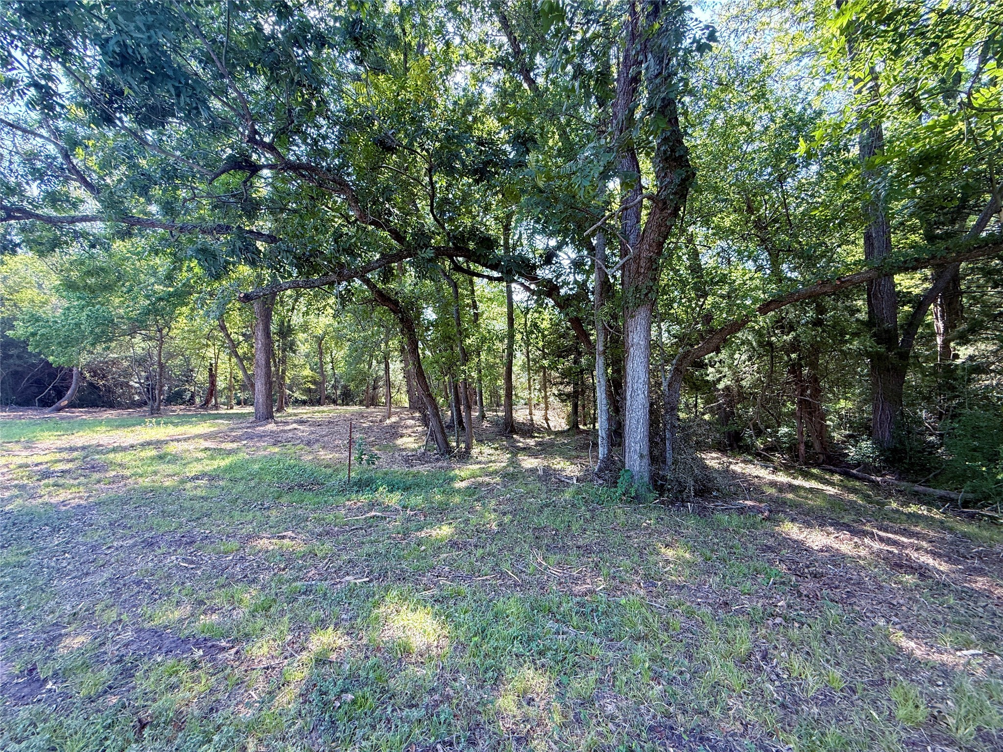 Tbd Flewellen Road Property Photo 18