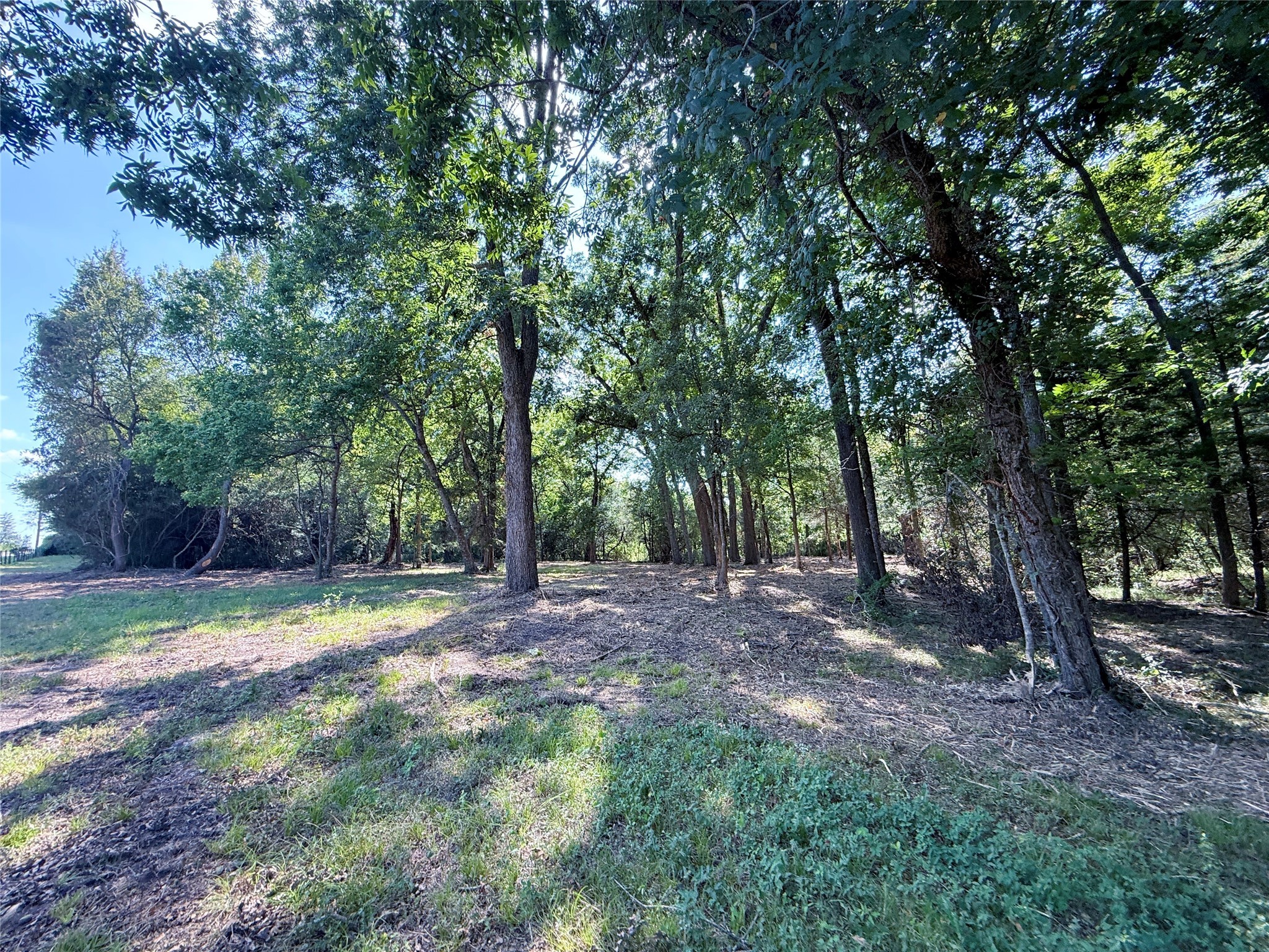 Tbd Flewellen Road Property Photo 19