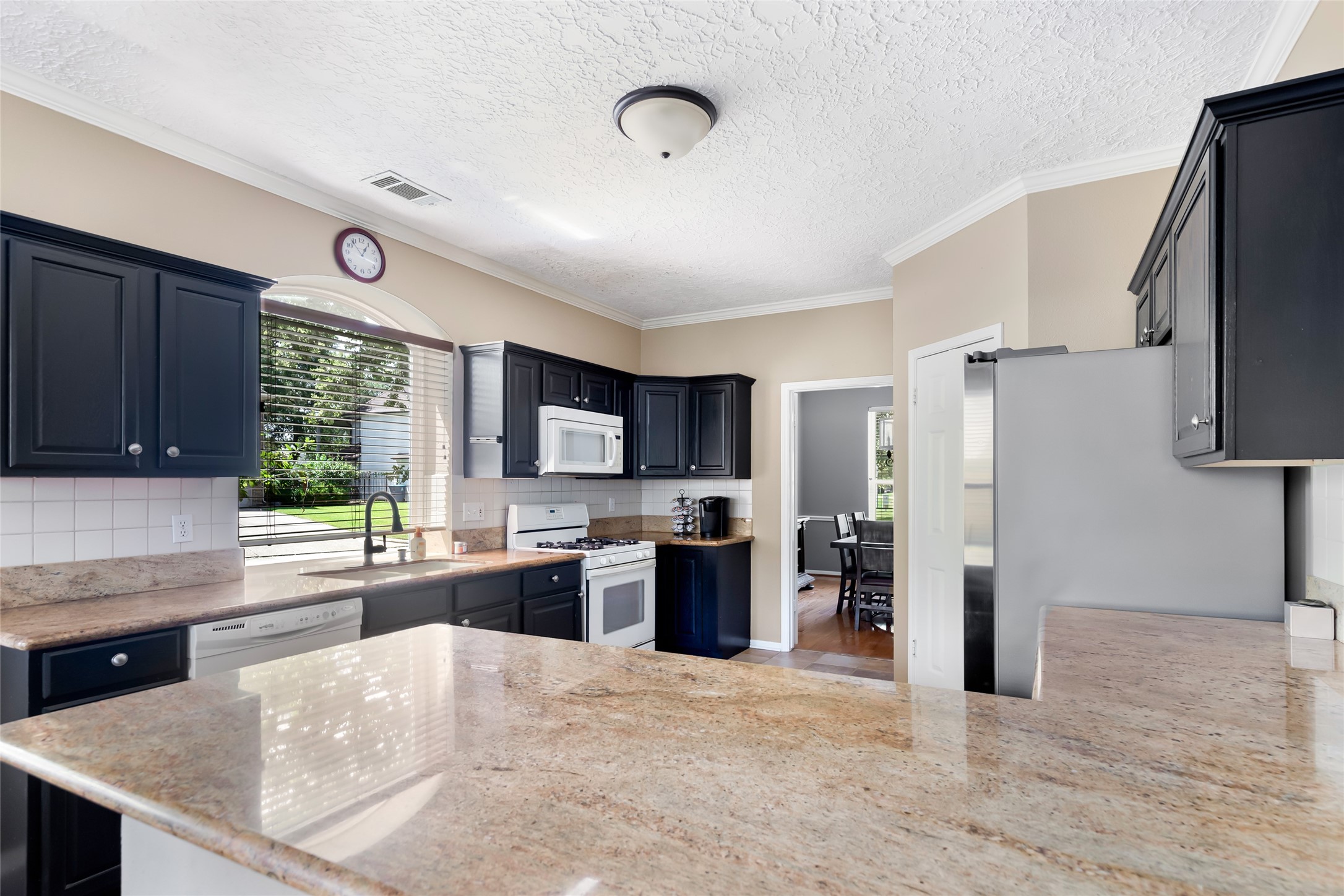 19102 Sprinters Drive Property Photo 21