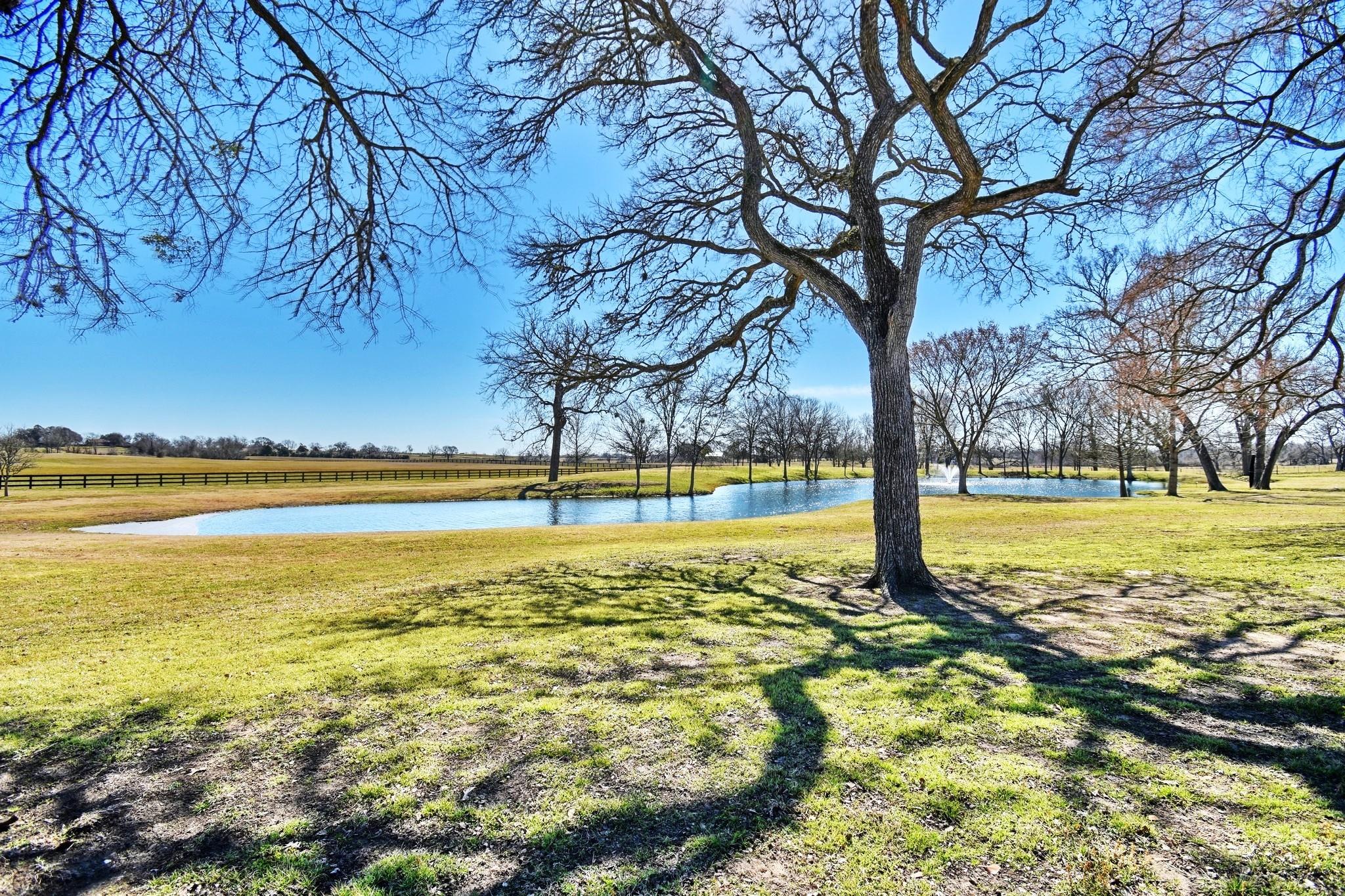 770 Blackberry Lane, Washington Tx 77880 Property Photo 40