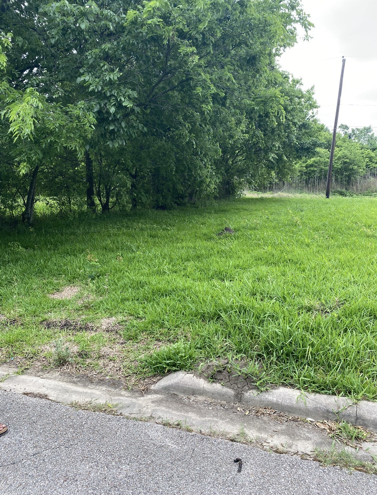 0 Mcleary Street Property Photo 3