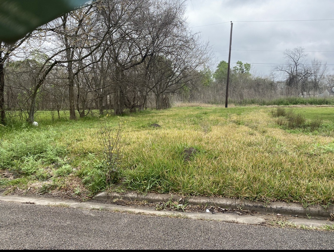 0 Mcleary Street Property Photo 4