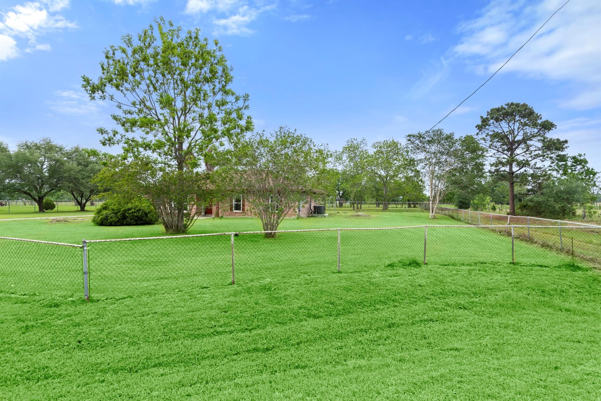 318 County Road 296d Property Photo 19
