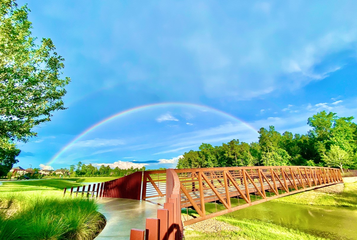 126 West Coralburst Loop Property Photo 5