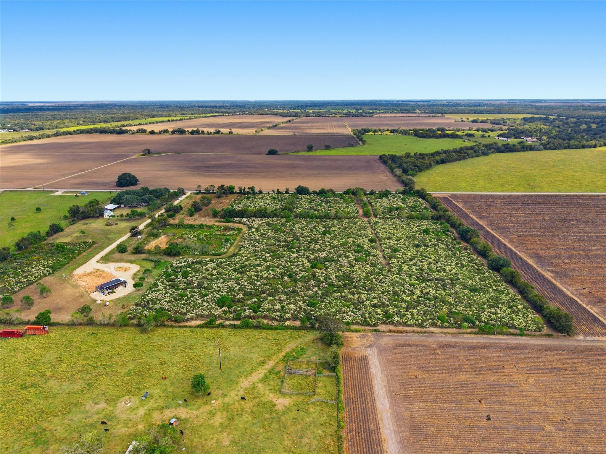 Lot 10 Cow Creek Road Property Photo 7