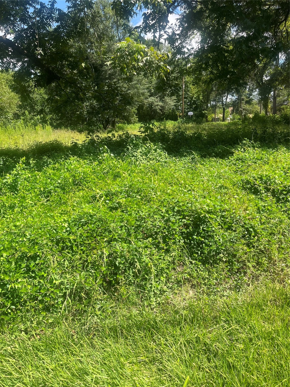 1001 Avenue E Property Photo 10