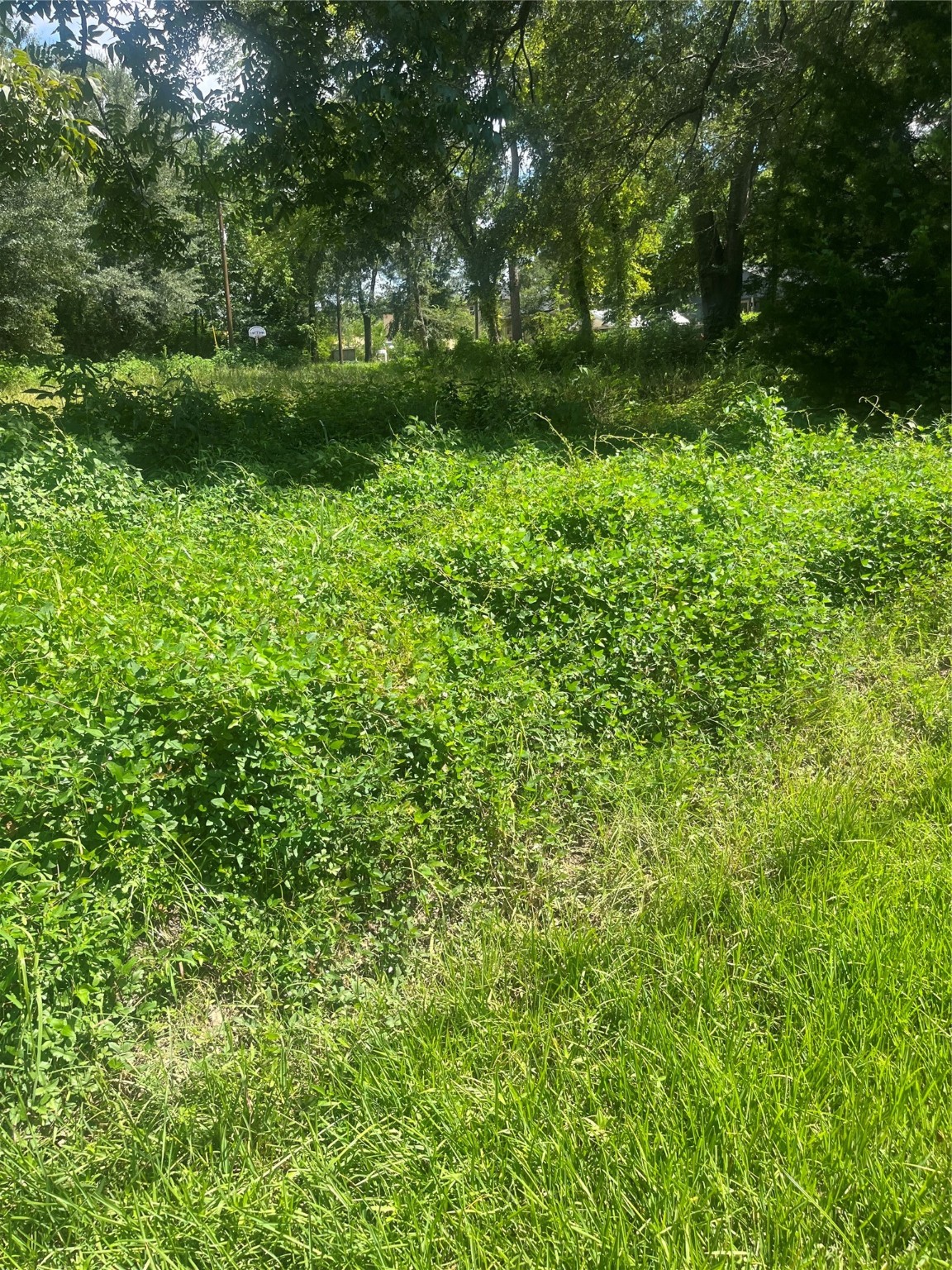 1001 Avenue E Property Photo 14
