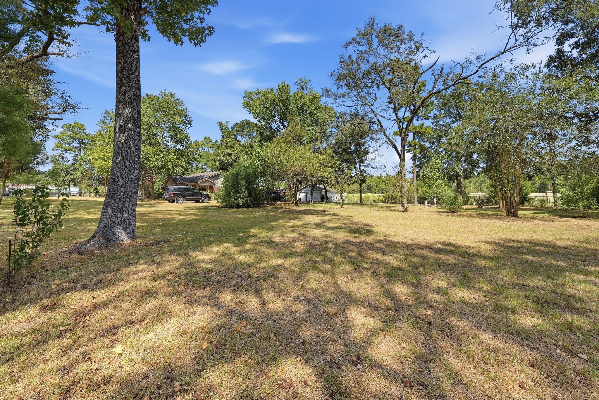 37728 Little Thorn Lane Property Photo 18