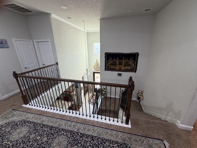 4206 Great Bear Place Property Photo 9