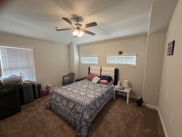 4206 Great Bear Place Property Photo 16