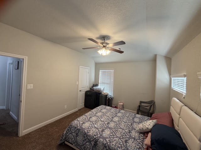 4206 Great Bear Place Property Photo 17