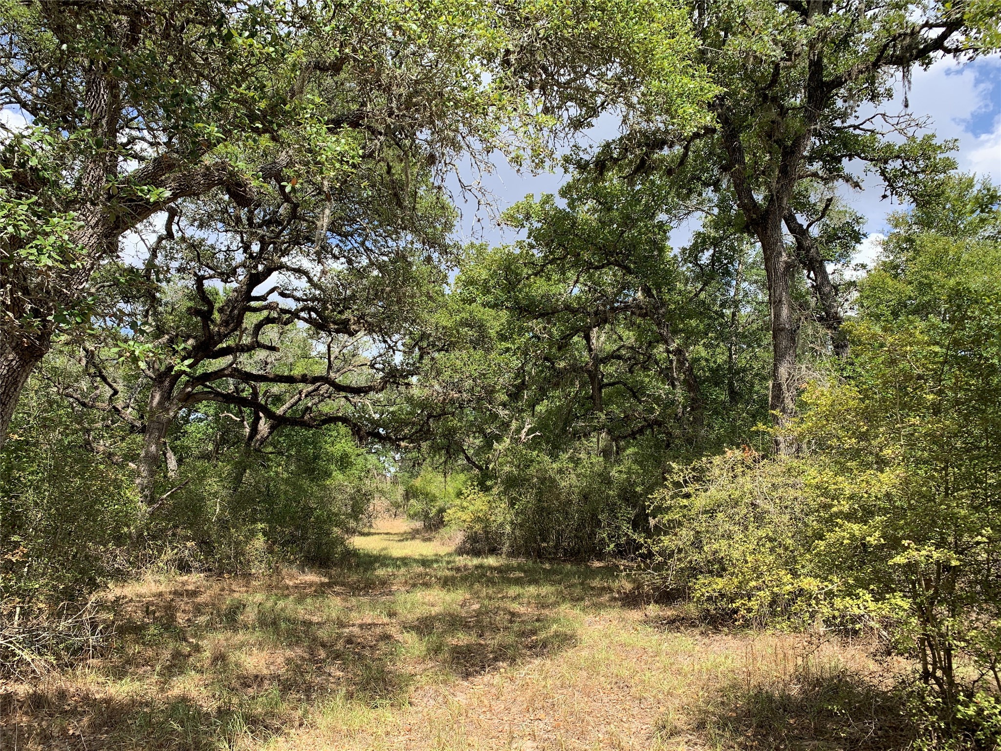 Tbd Private Road 1581 Property Photo 1